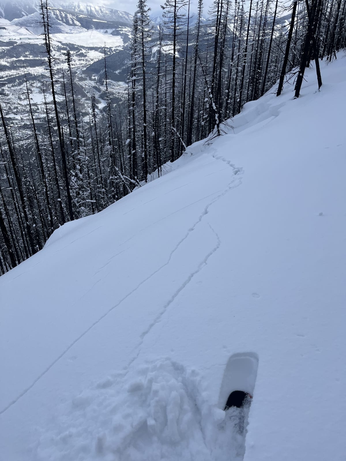 3rd remote triggered slab of the day, didn’t even realize we had set it off till we started backtracking down the ridge/skin track