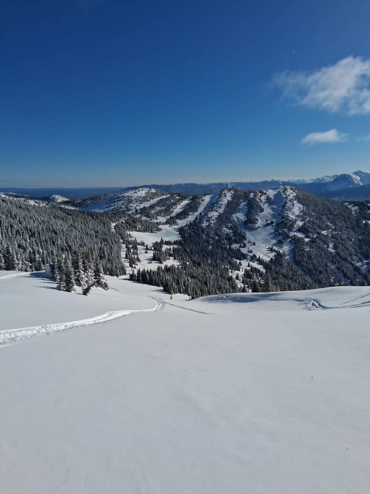 Sheltered gullies, meadows and trees still held 15-30 cm of softer snow, but the crust could be felt at the bottom. 