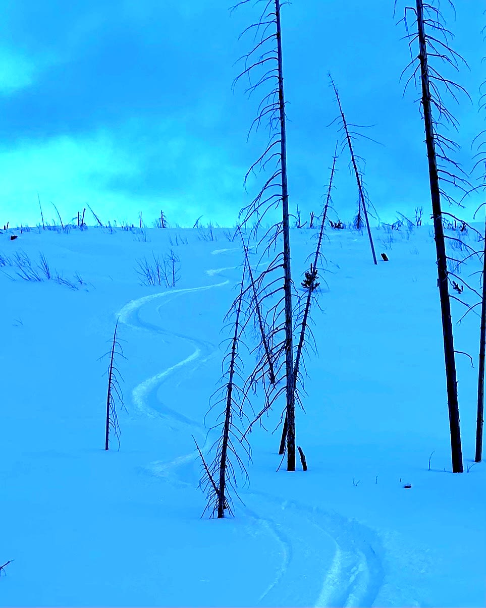 See?! You CAN have fun <25degrees :-)