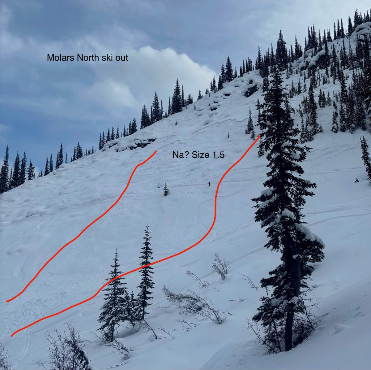 Size 1.5 avalanche failing on Jan 27th above Molars North ski out. Unsure of trigger.