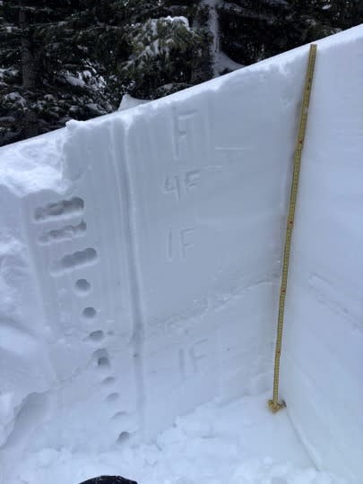 Storm snow in sheltered areas overlies a persistent weak layer