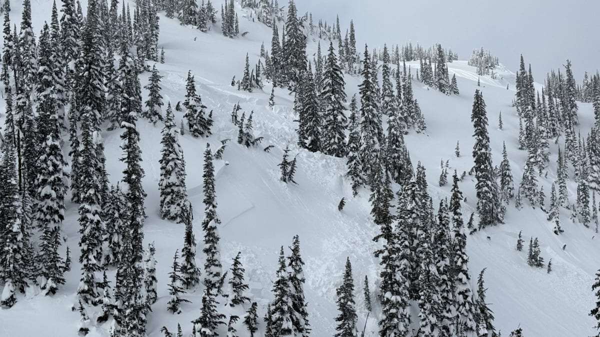 Close up of the crown 