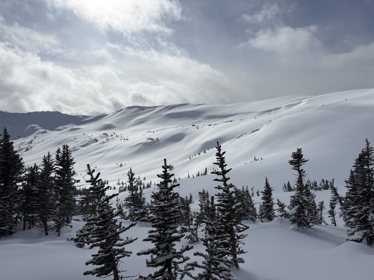 Nice conditions, even in the alpine!
