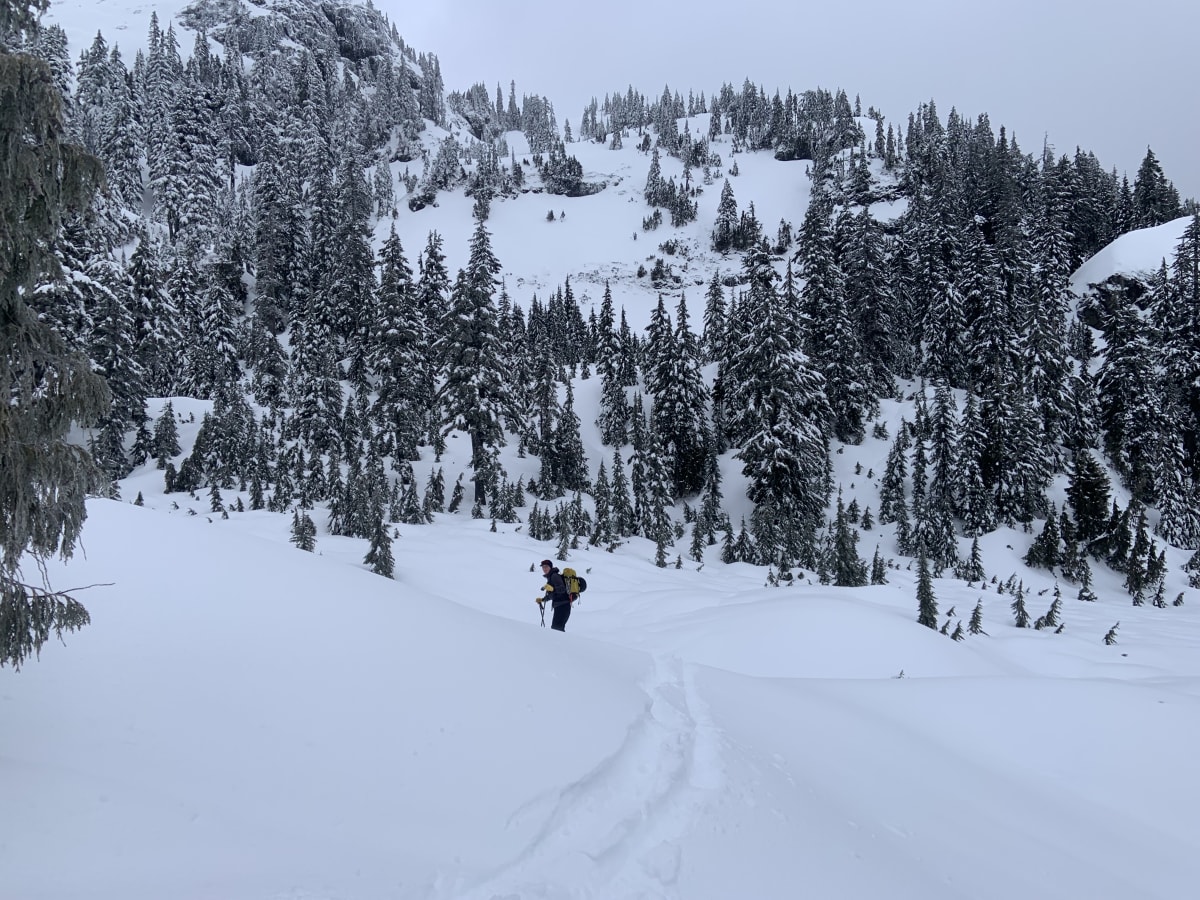Rain runnels on top of soft powder