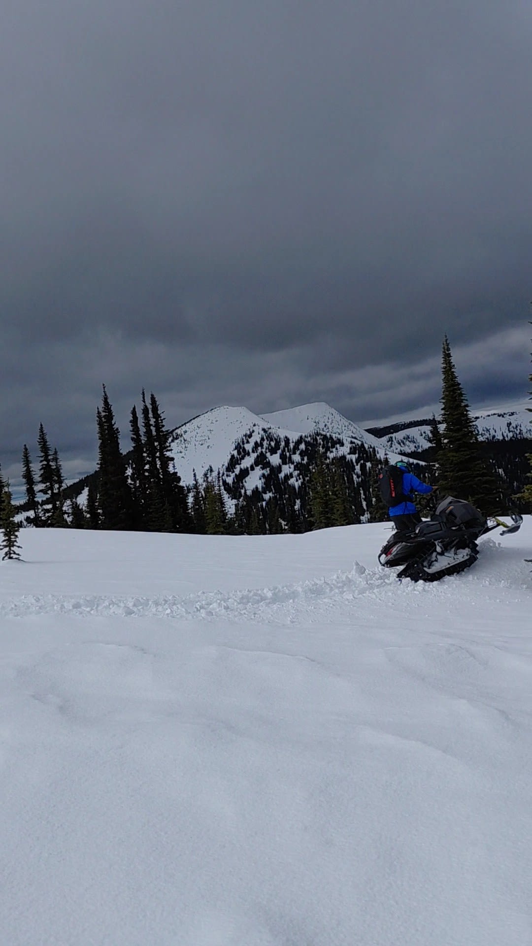Fun sledding TL - Alpine