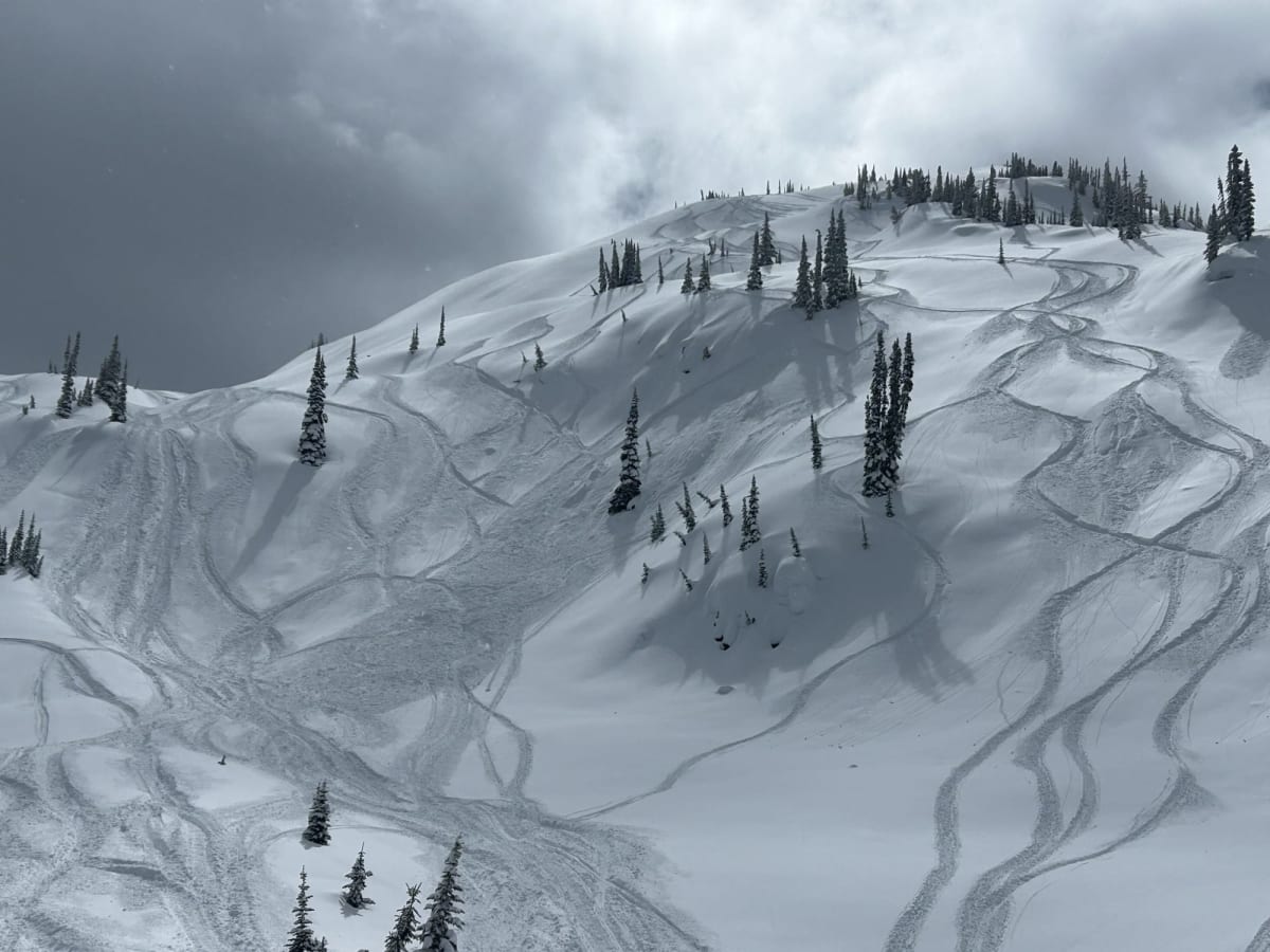 Overview of avalanche from regroup area