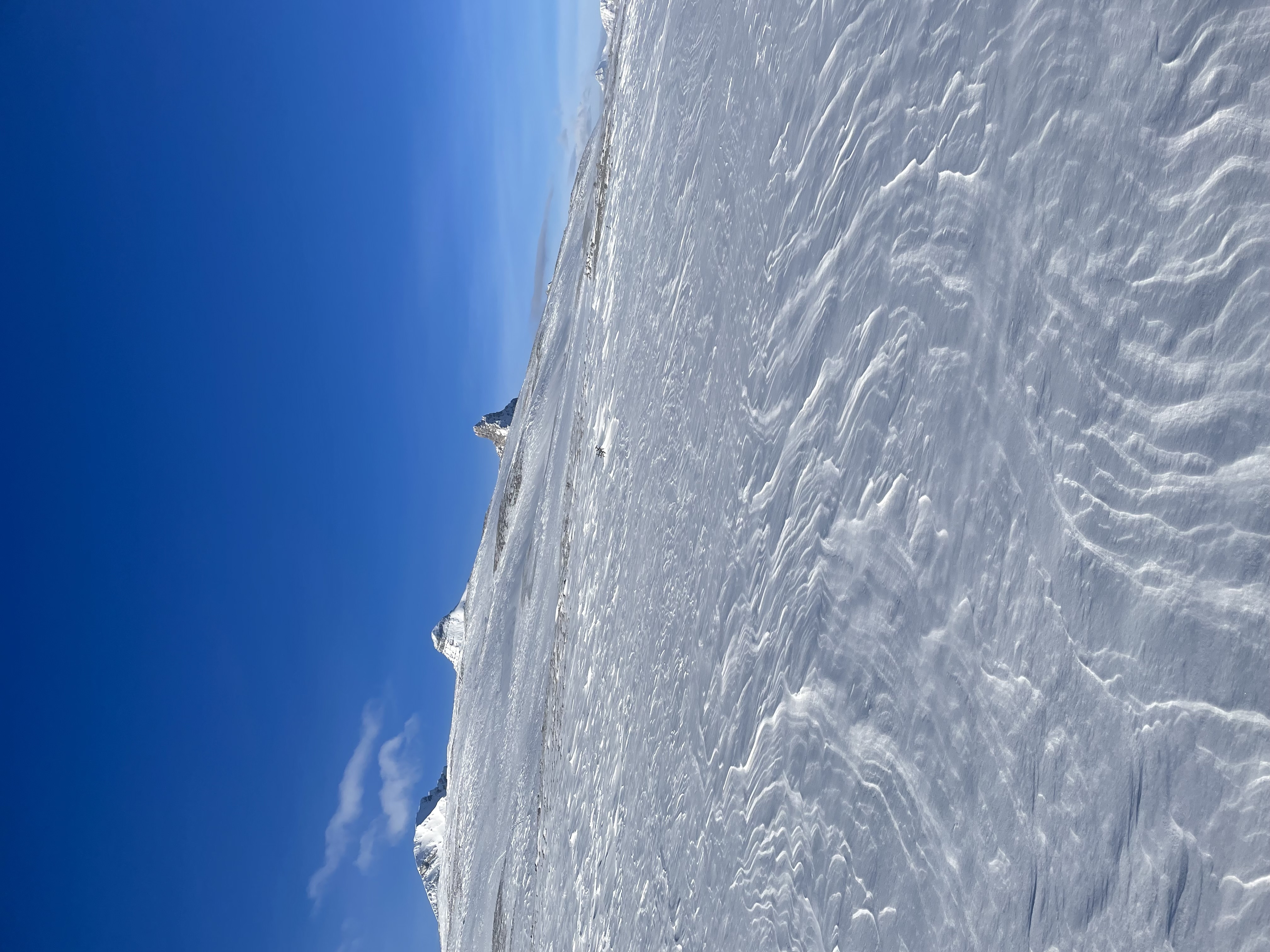 Observation photo 1