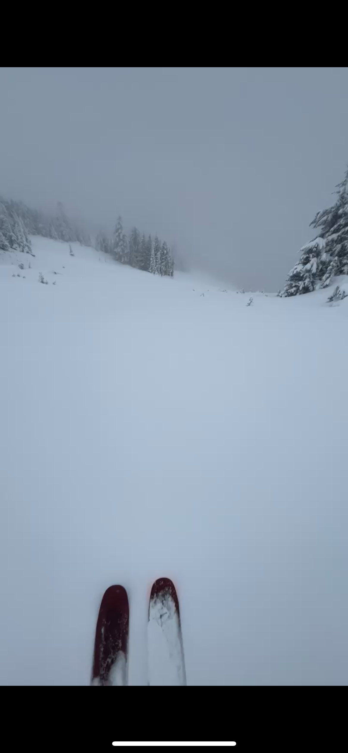 Observation photo 3