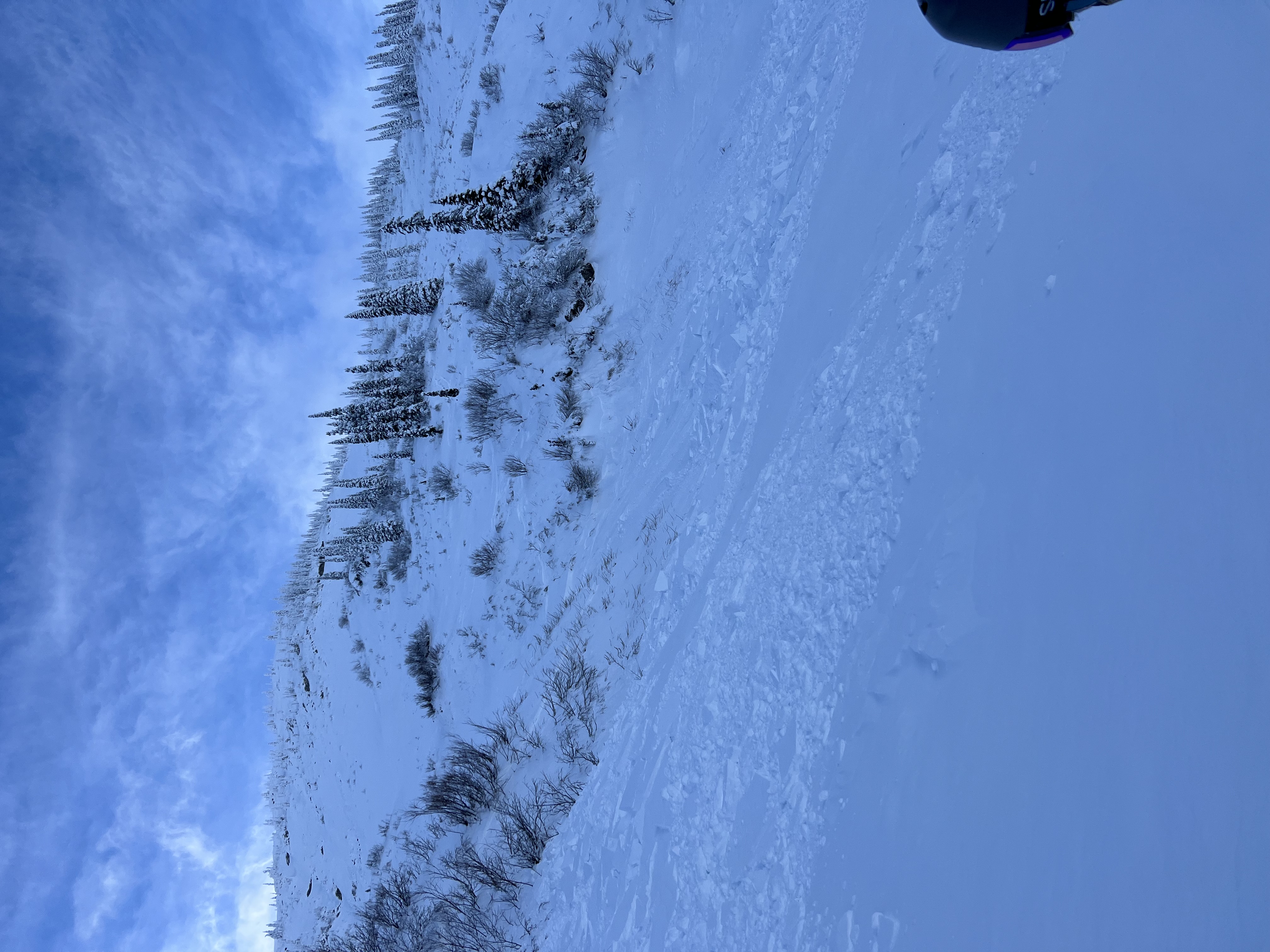 Observation photo 2