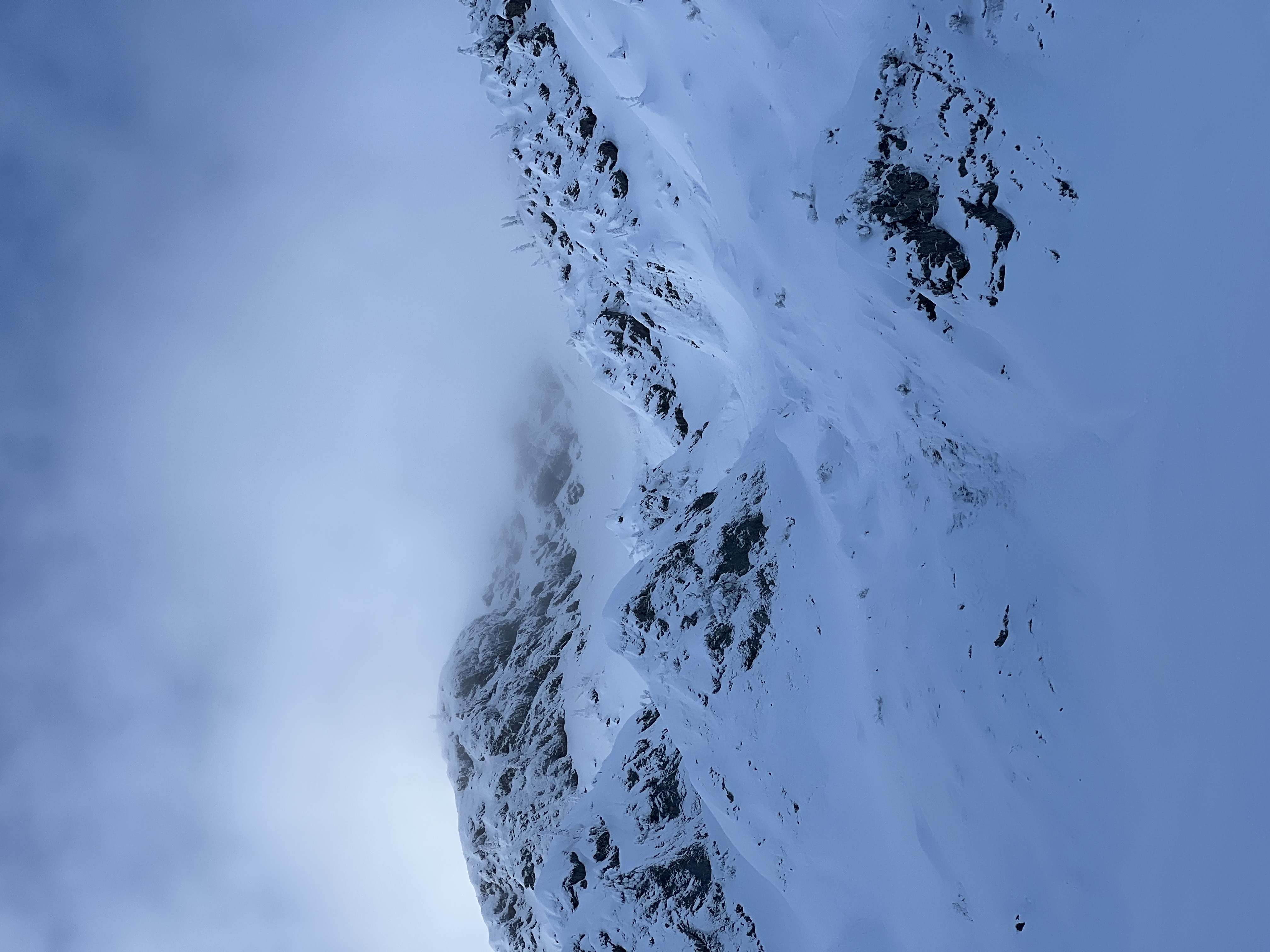 Observation photo 3