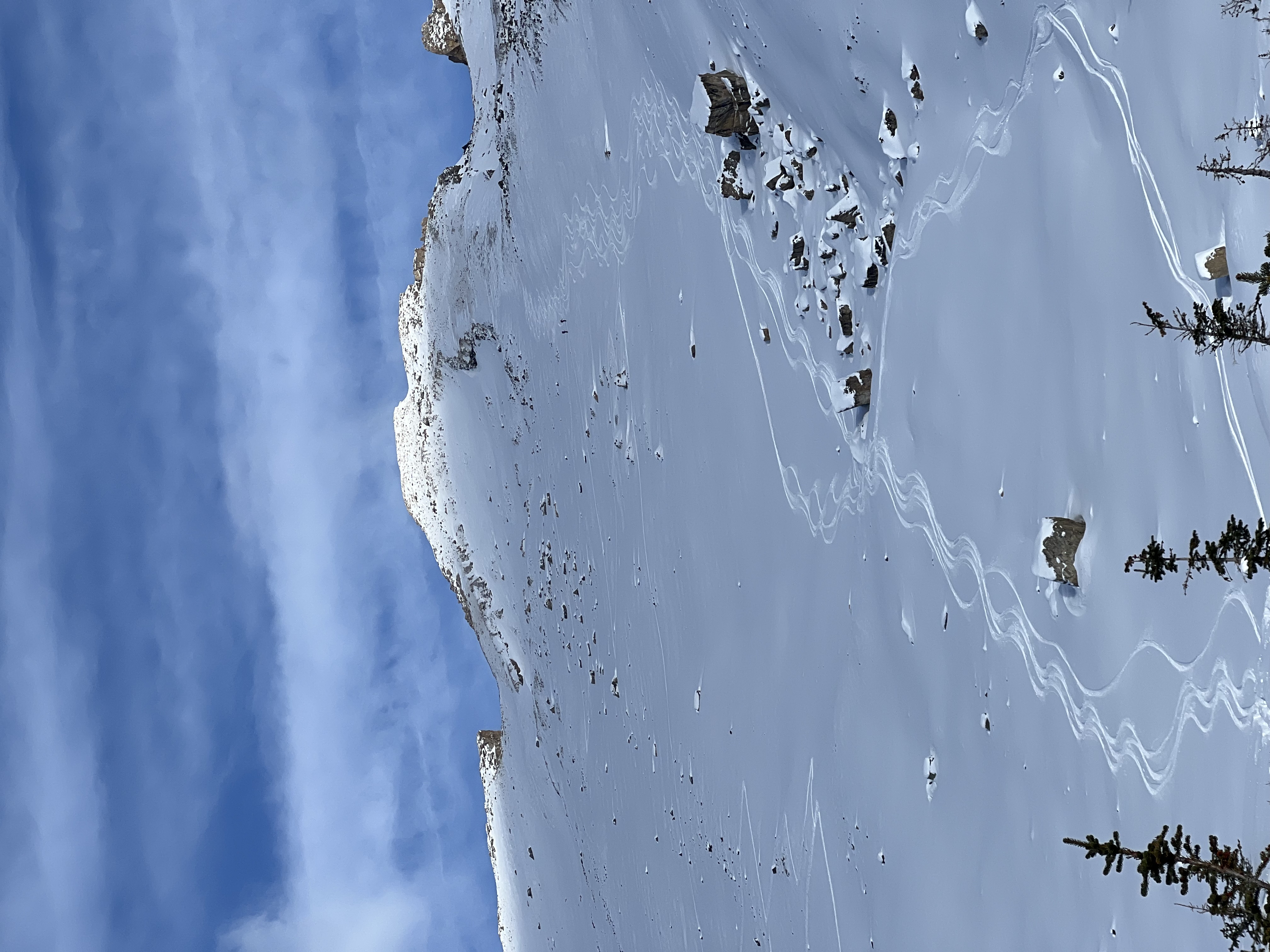 Observation photo 2