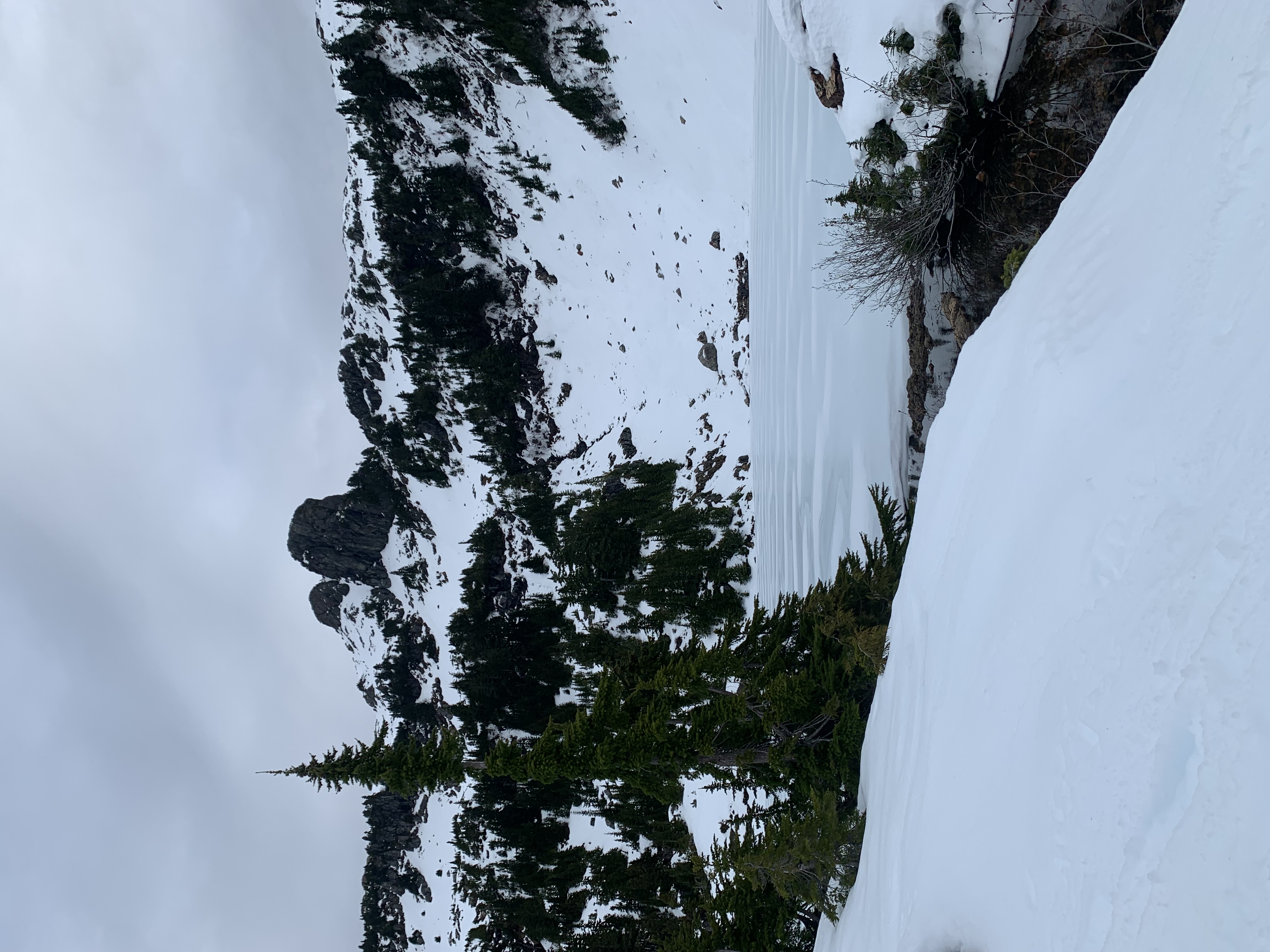 Observation photo 1