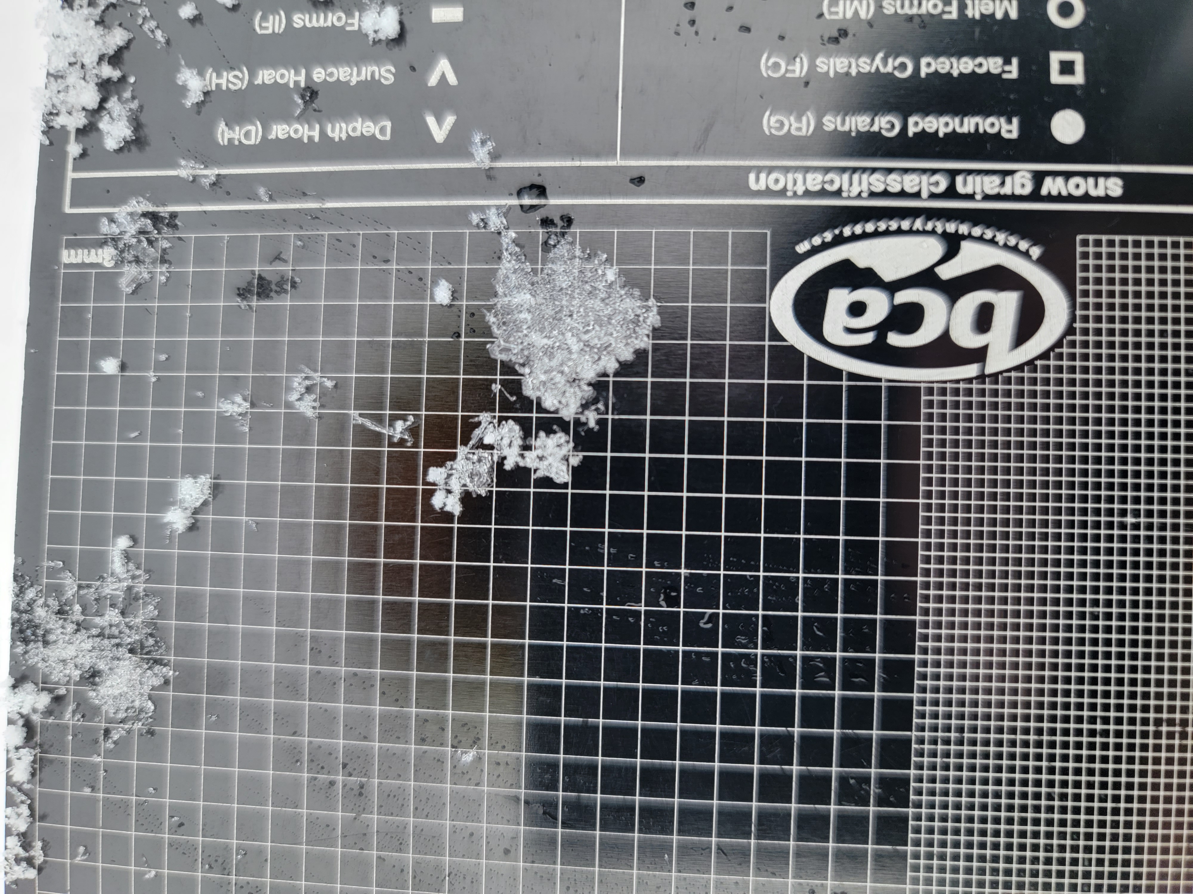 Observation photo 1