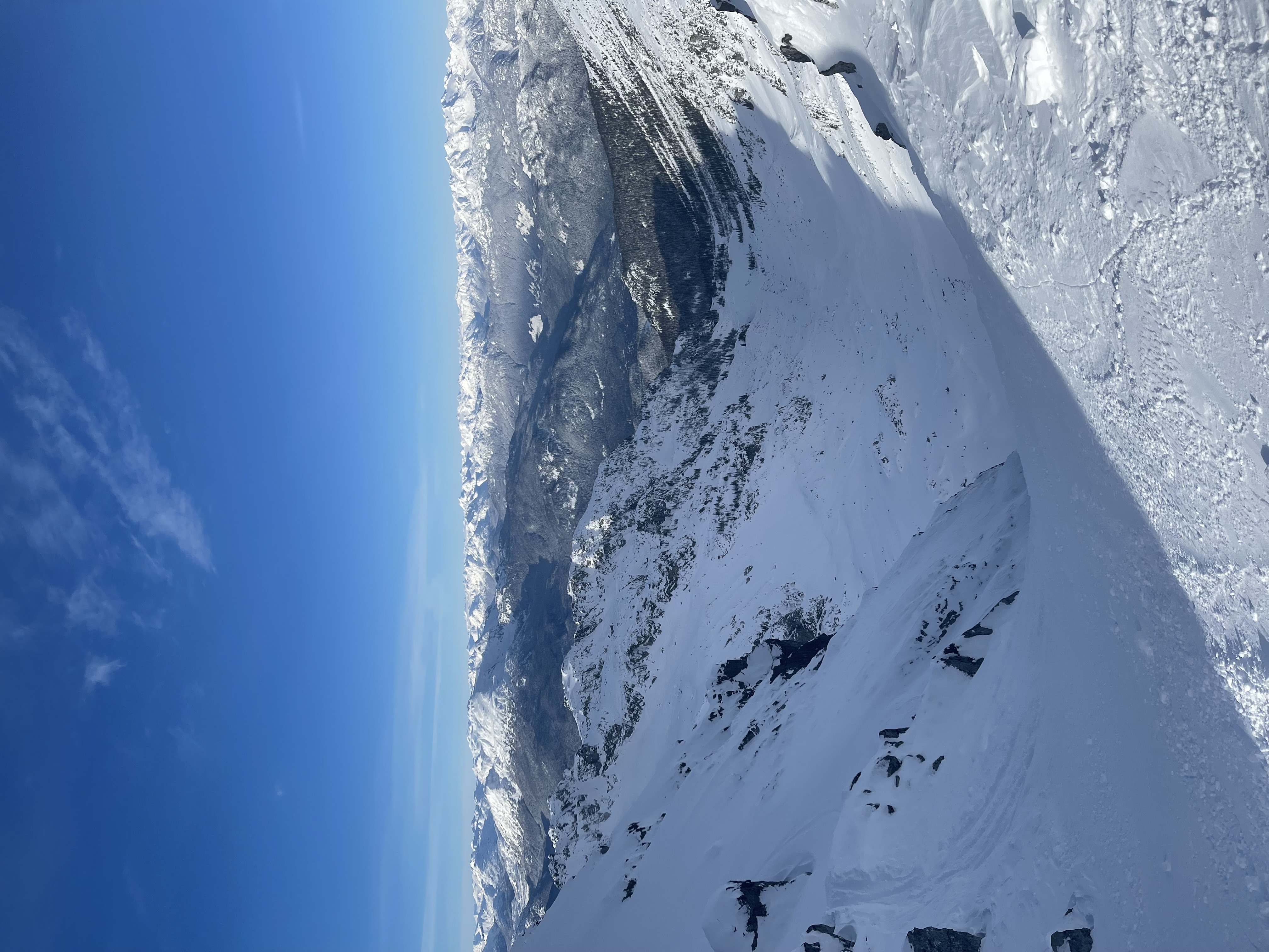 Observation photo 1