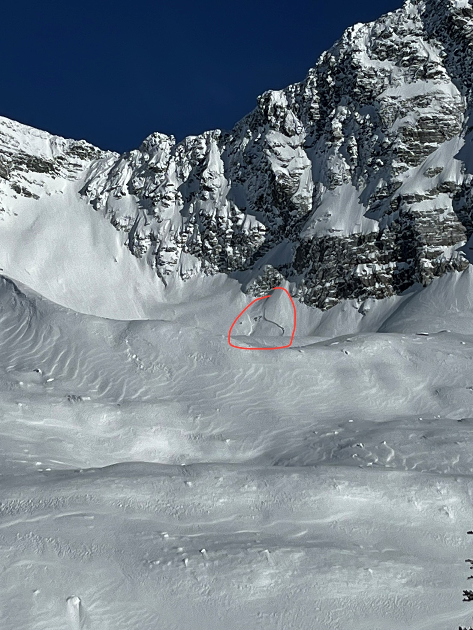 Observation photo