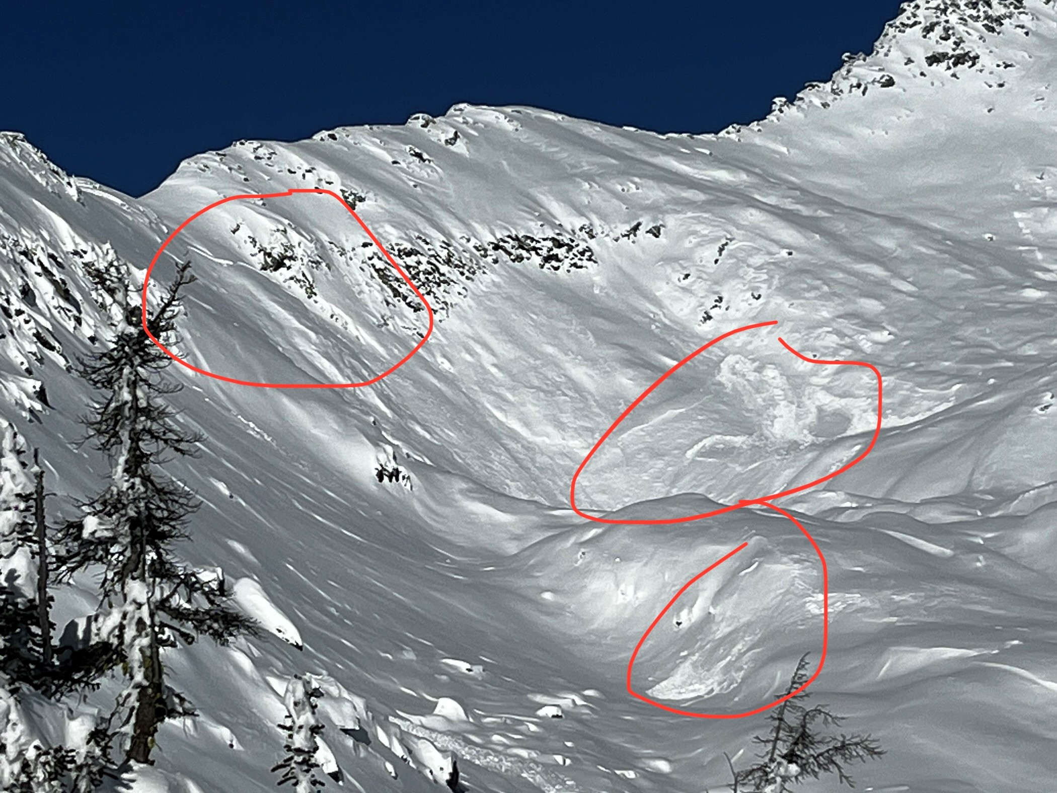 Observation photo