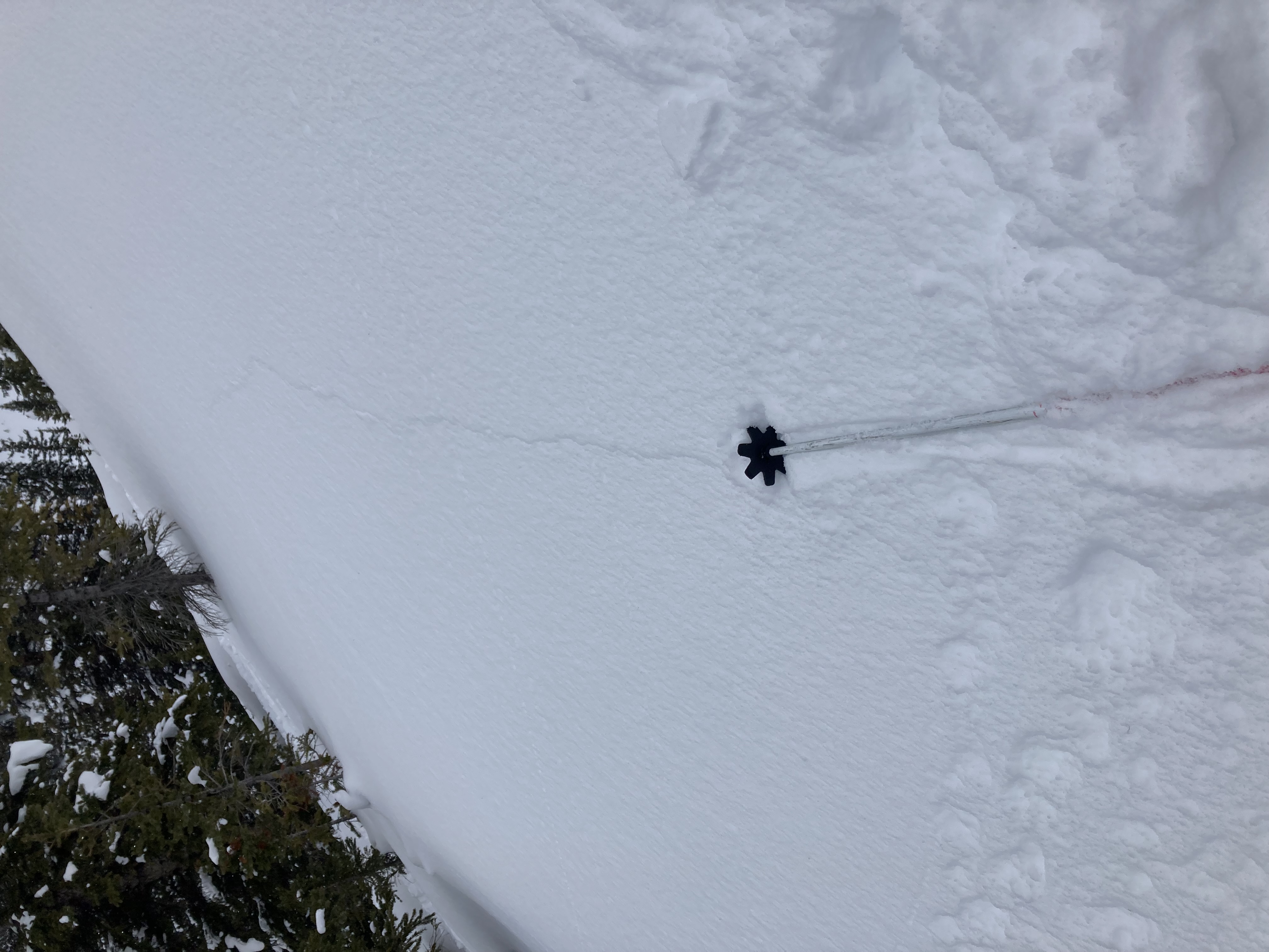Observation photo