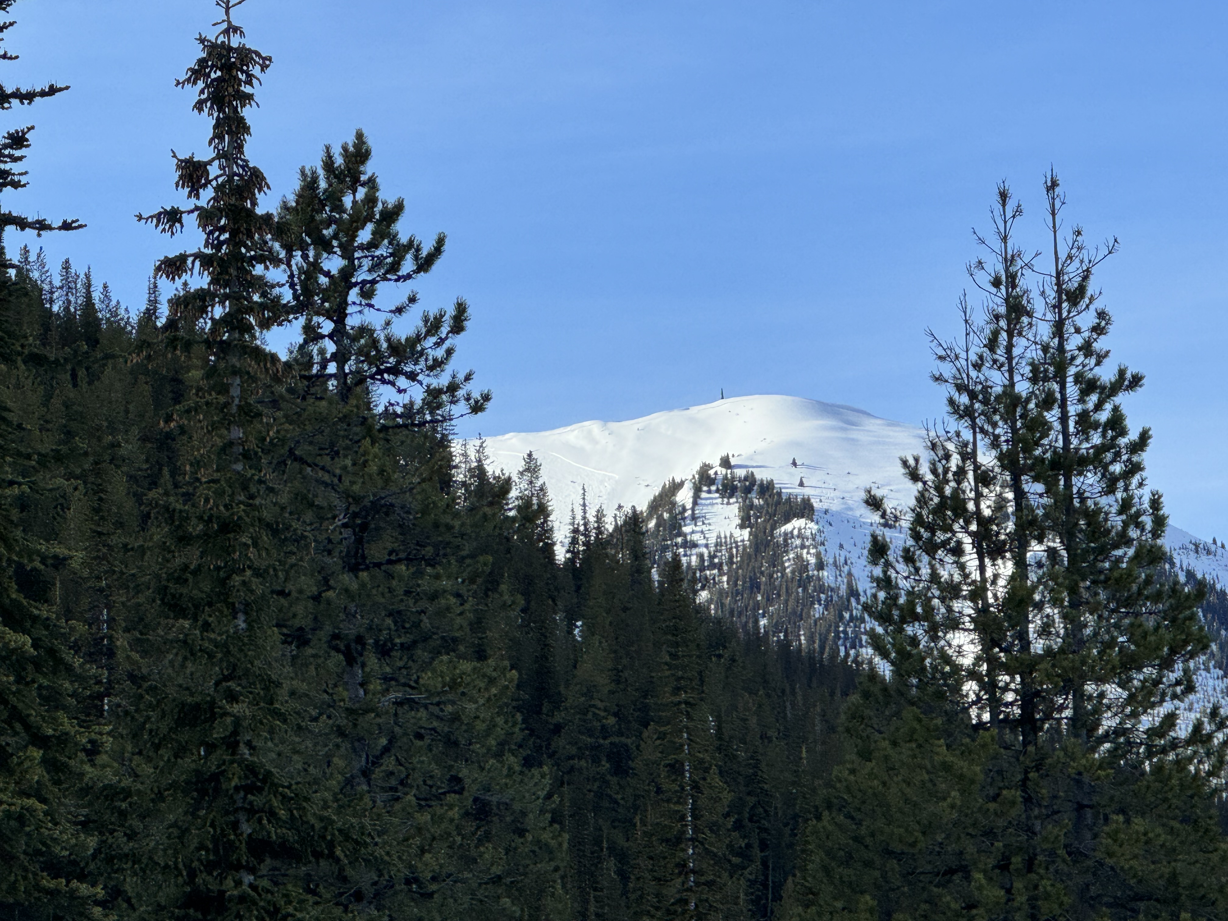 Observation photo