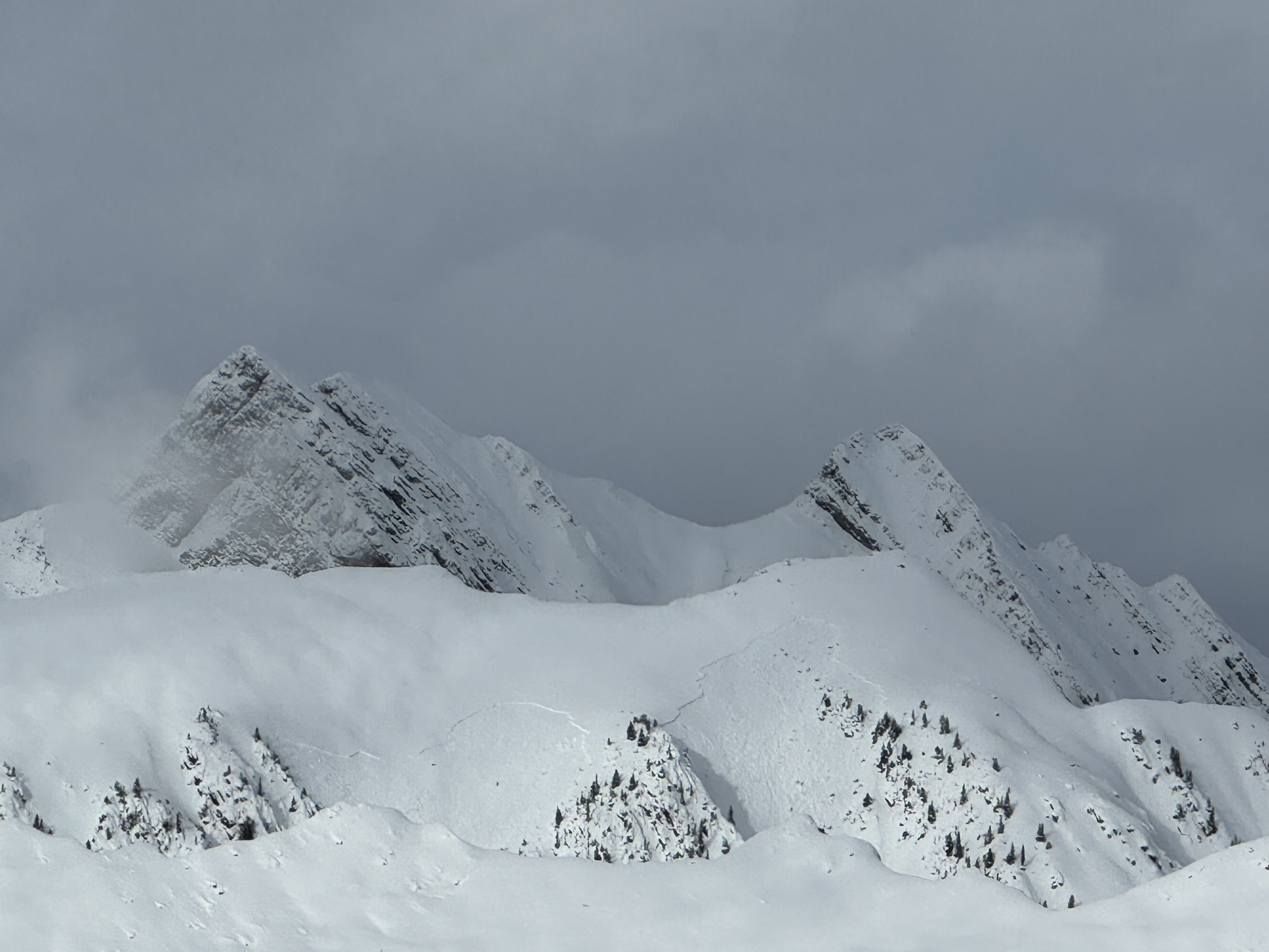 Observation photo