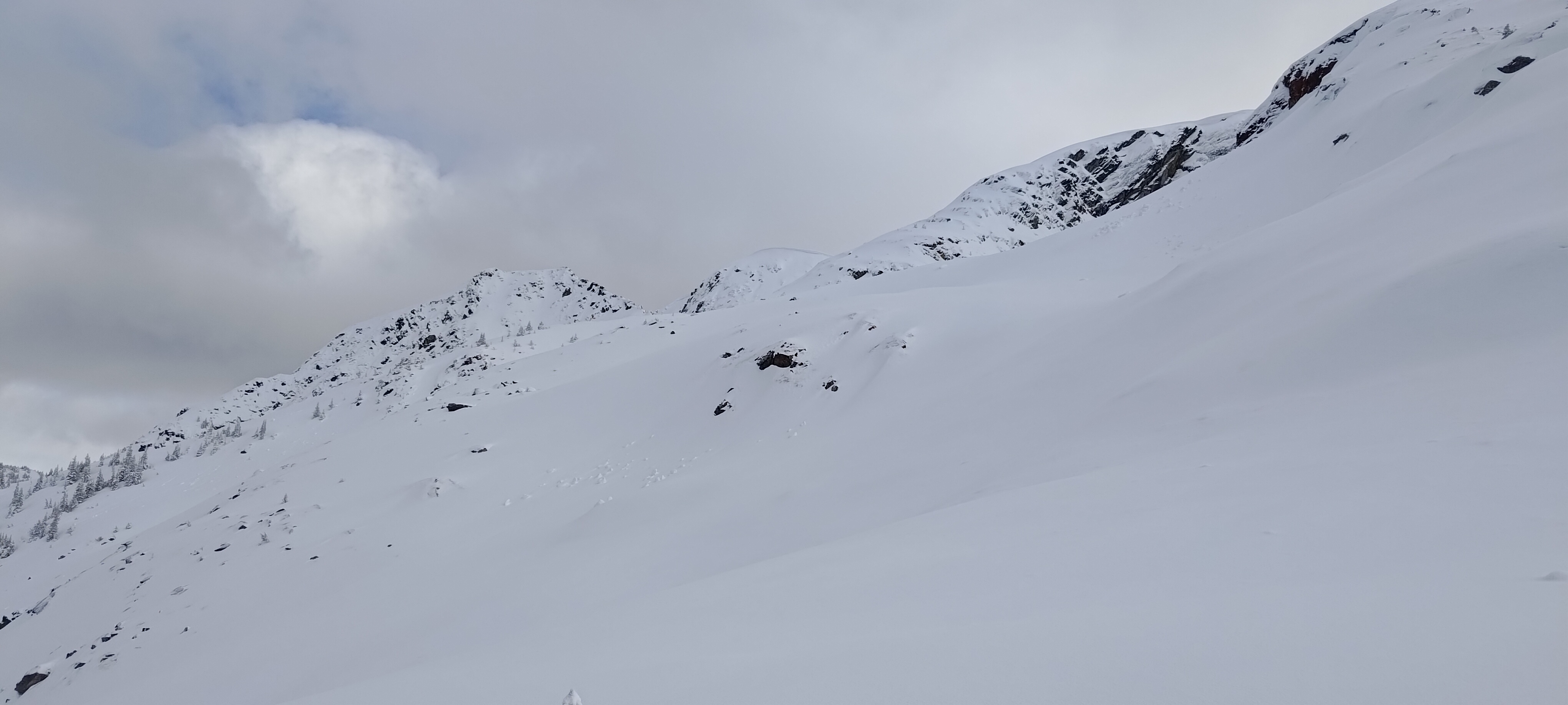 Observation photo