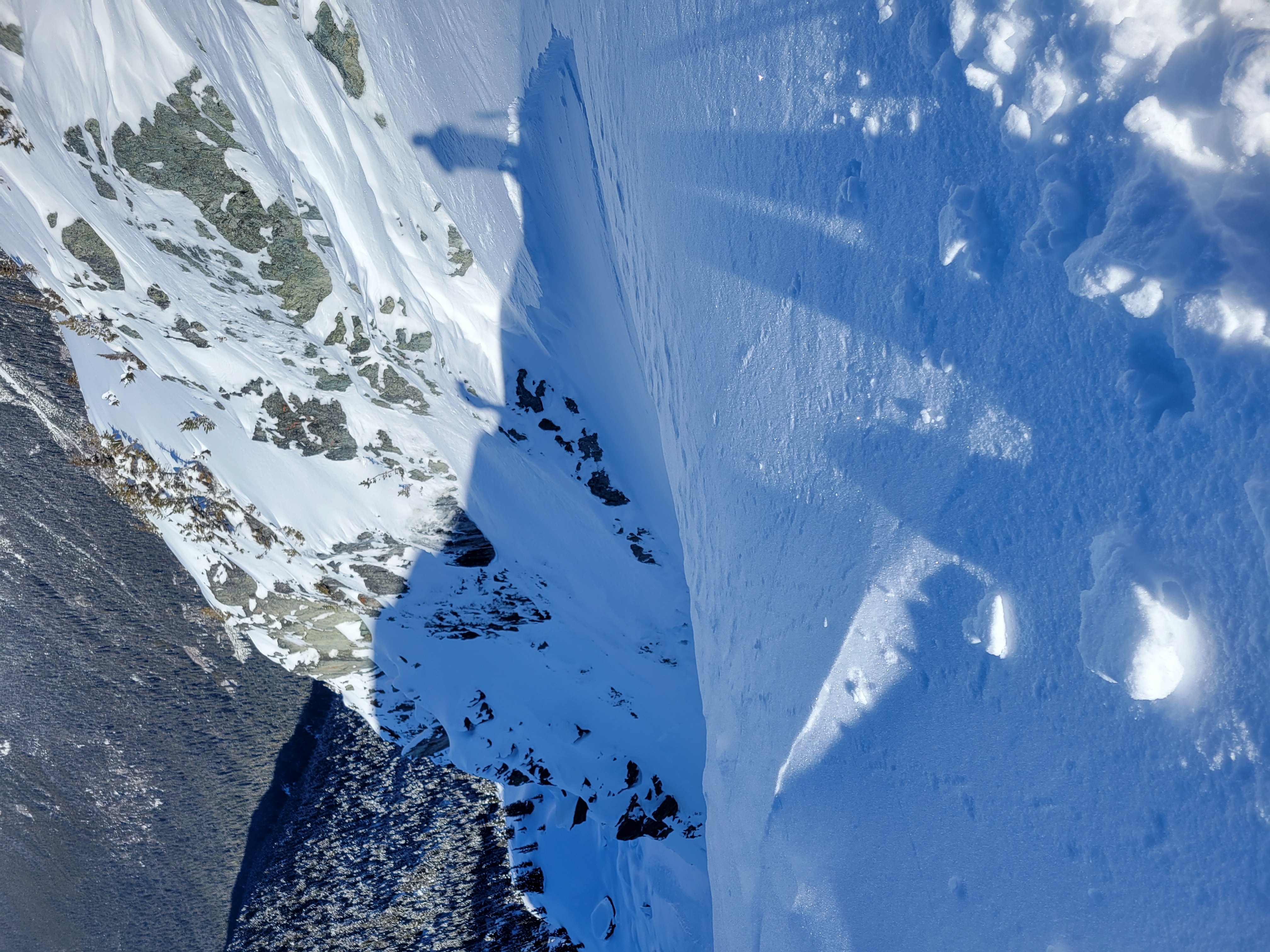 Observation photo