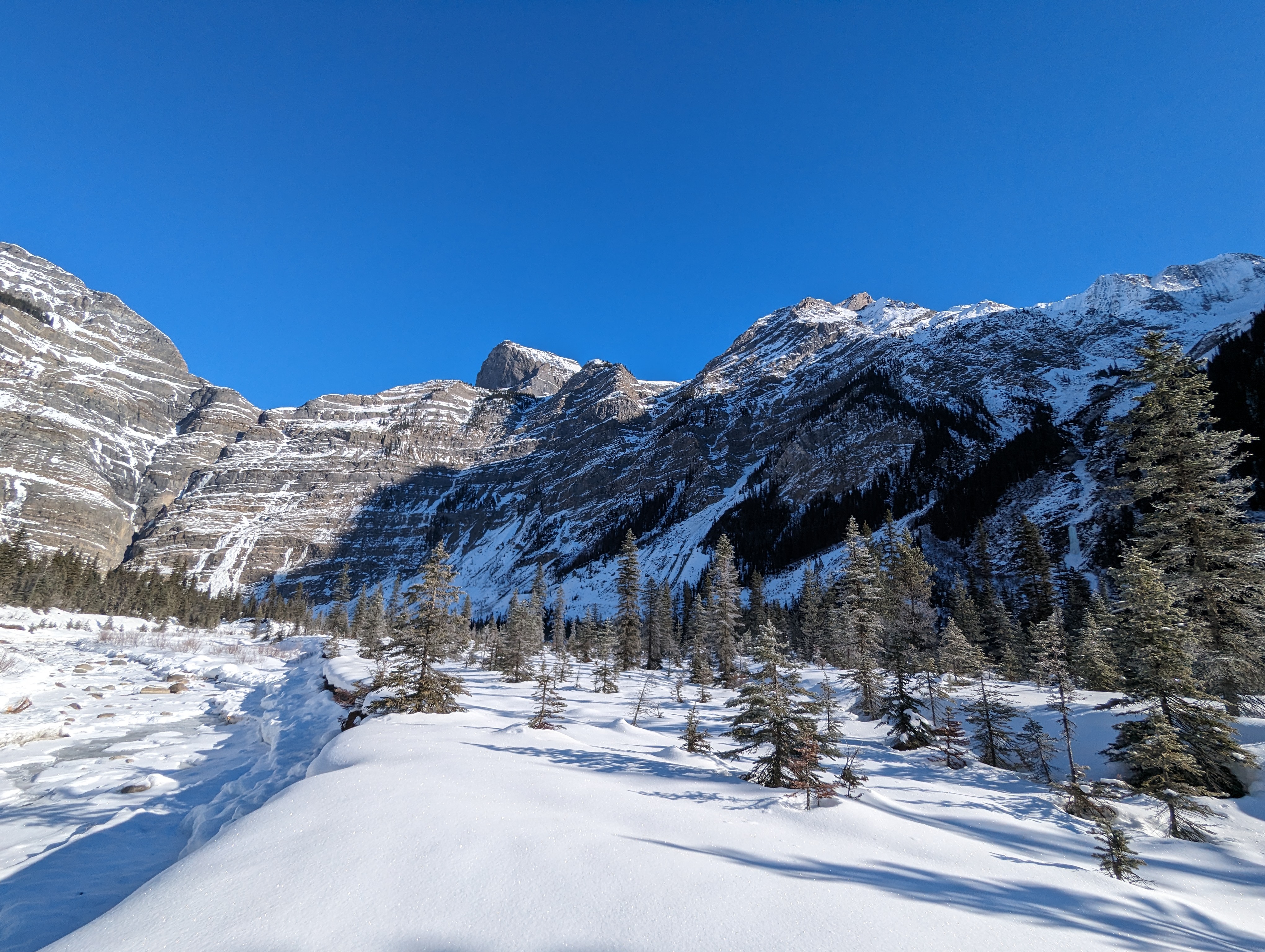 Swift Current Creek - Mt Robson image