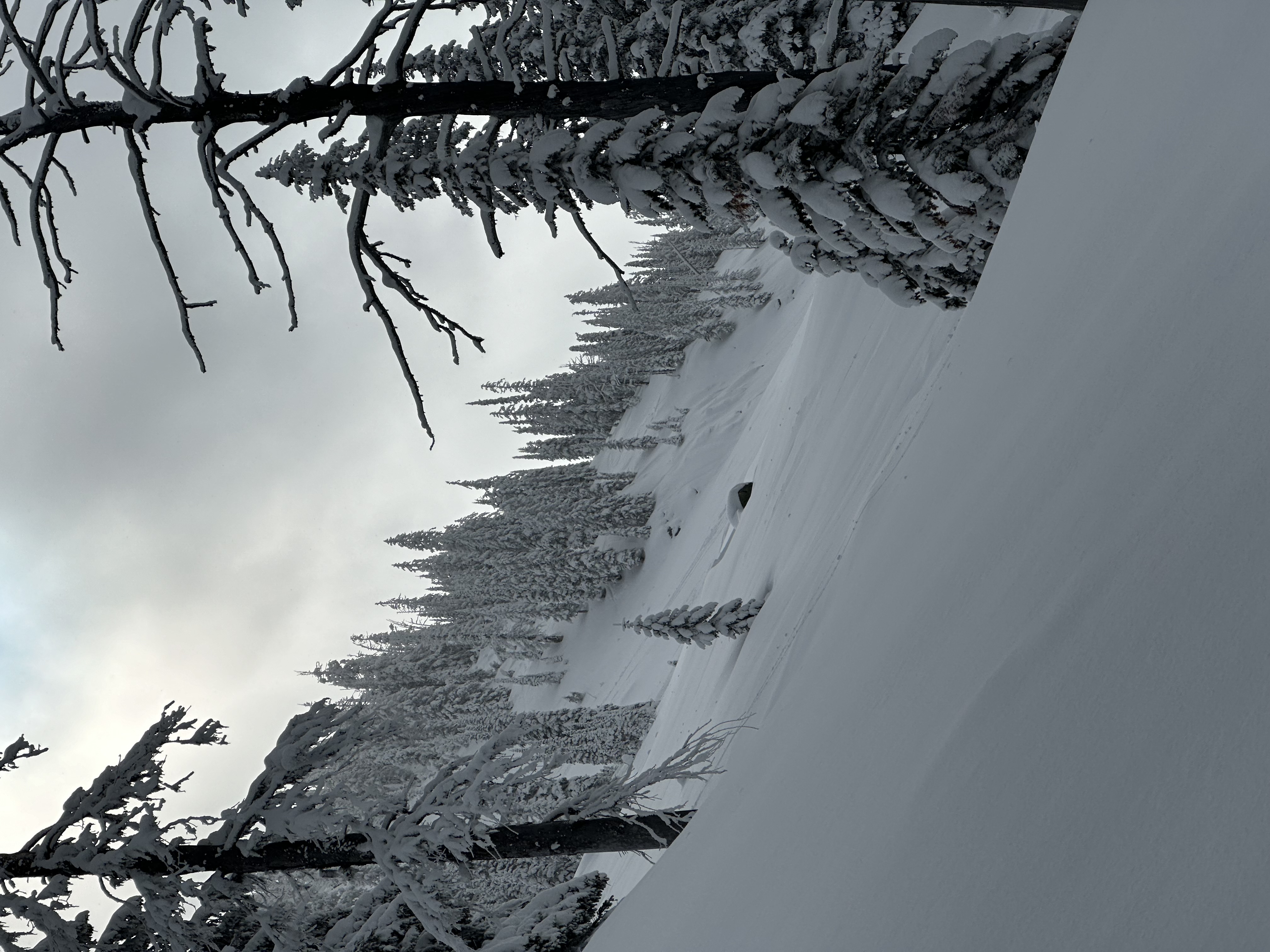 Kootenay Pass image