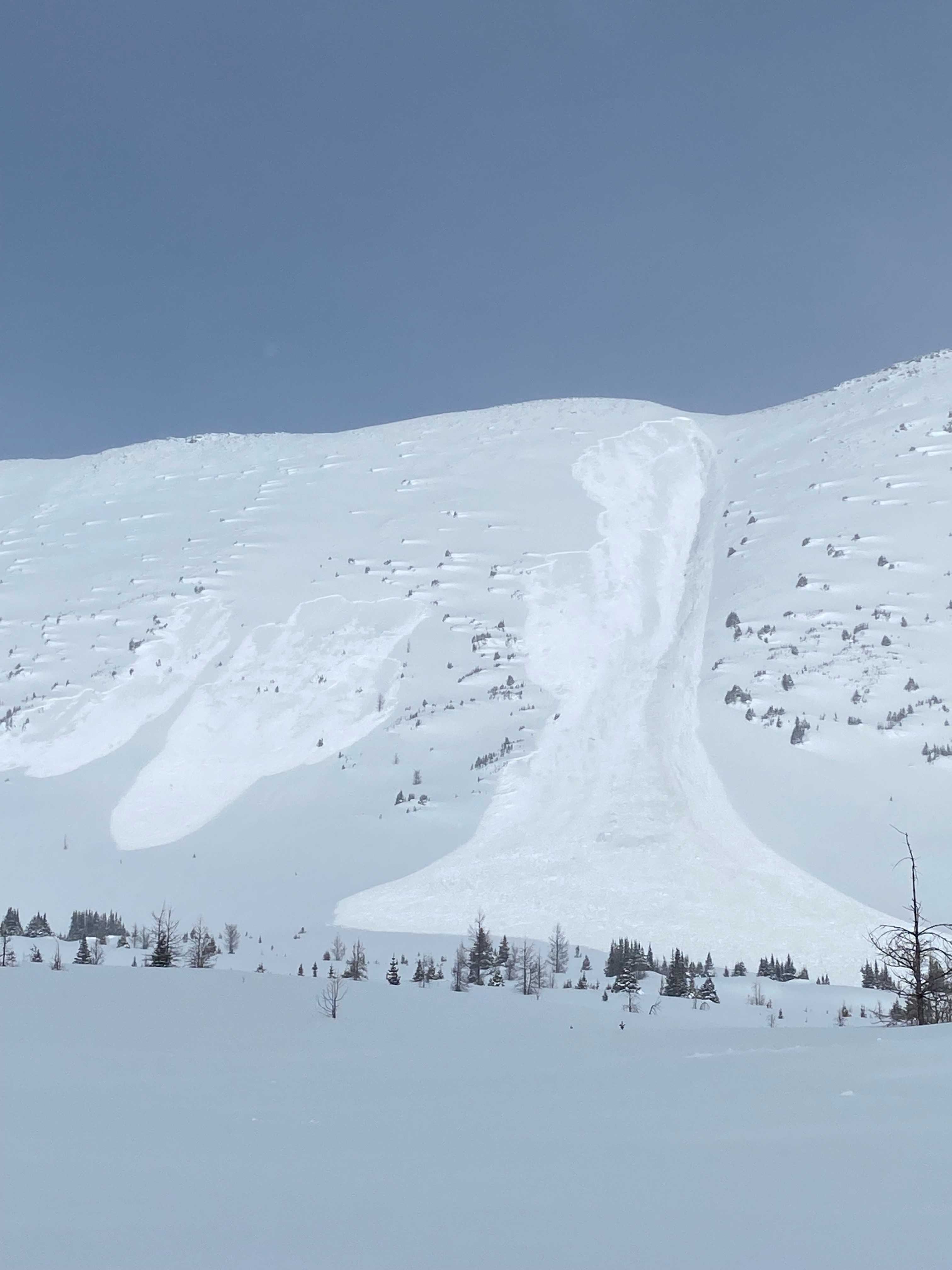 Size 2.5 Natural Lake Louise Backcountry - Speed Run image