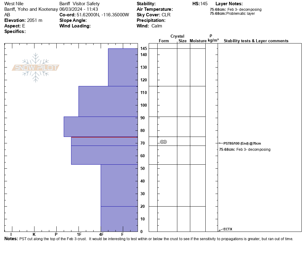 Mosquito Creek area - Profile NE aspect image