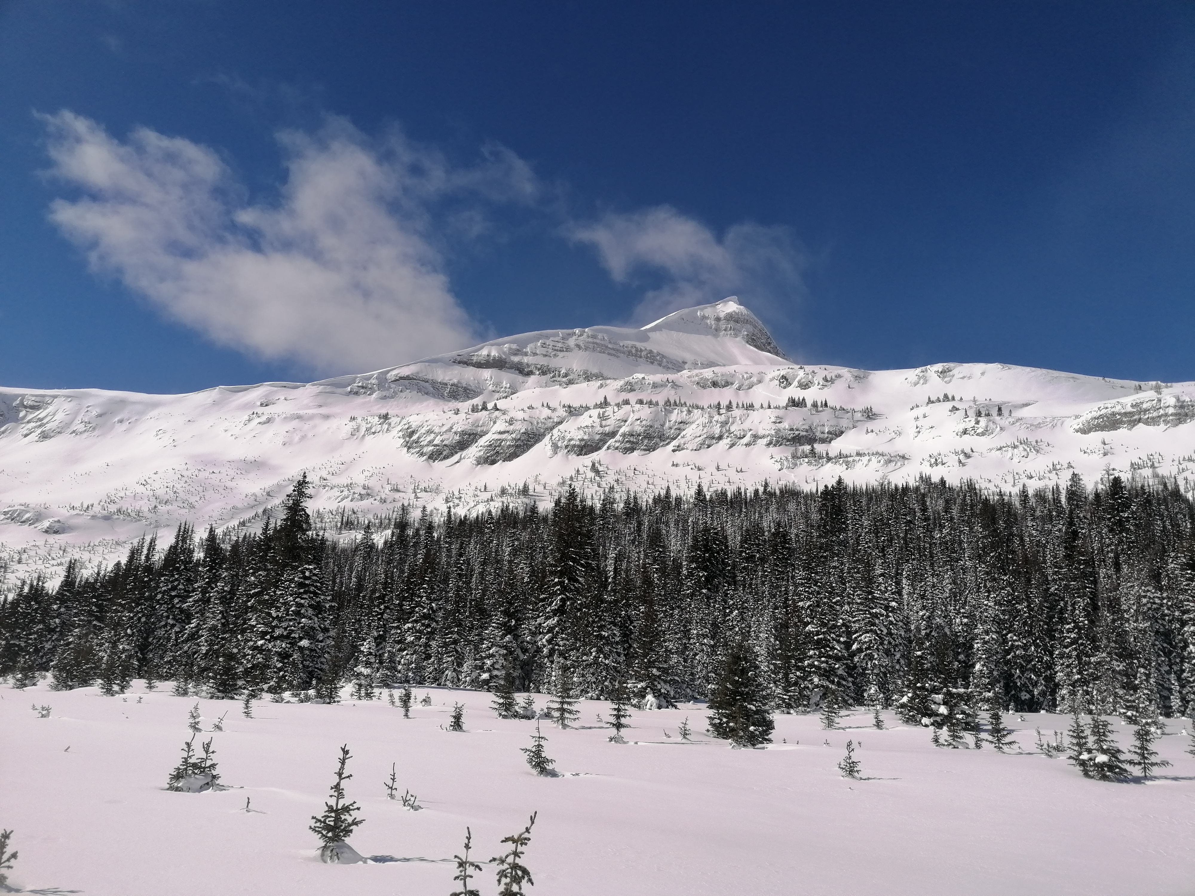 Fresh day at Burstall Pass image