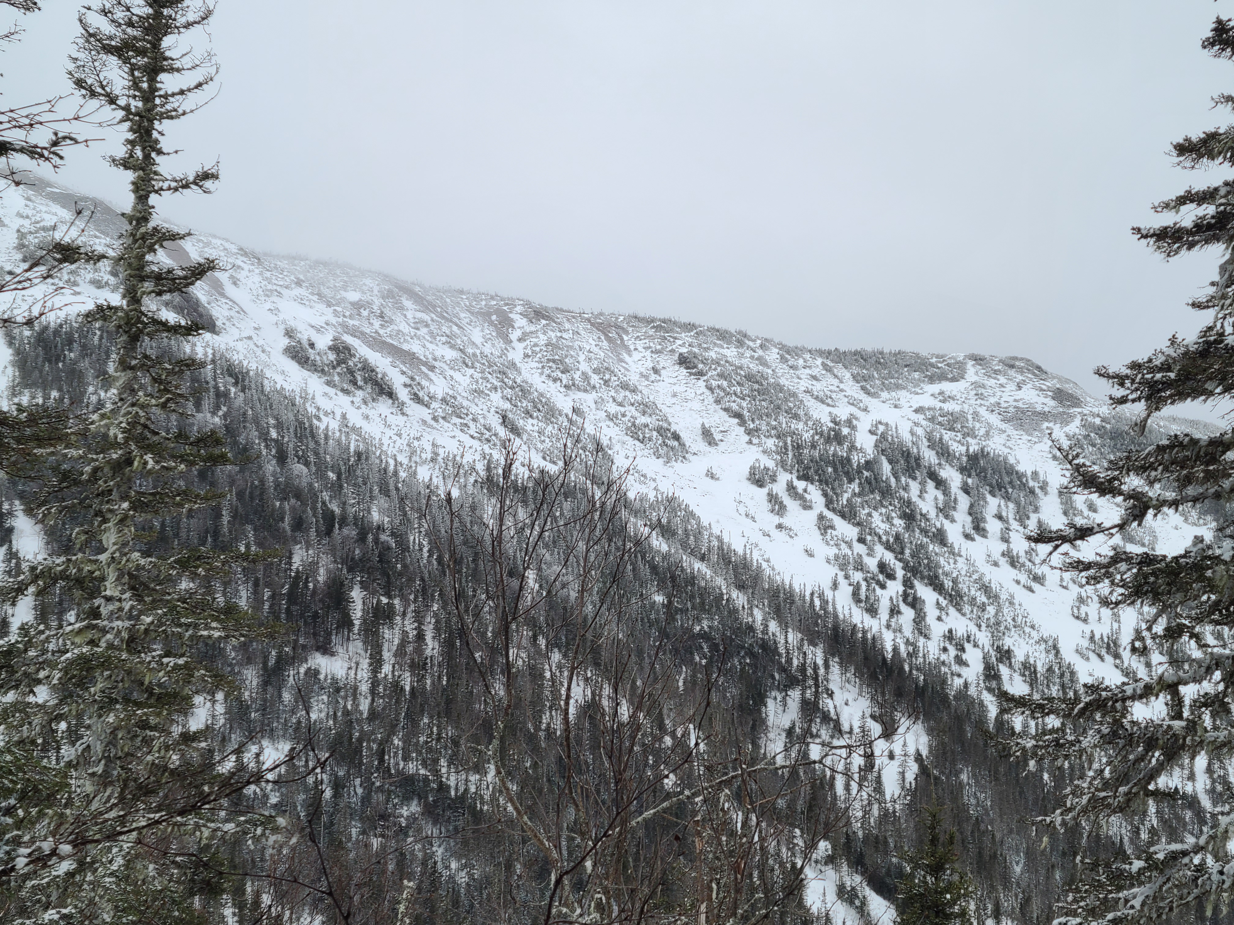 Mont Lyall après la tempête image