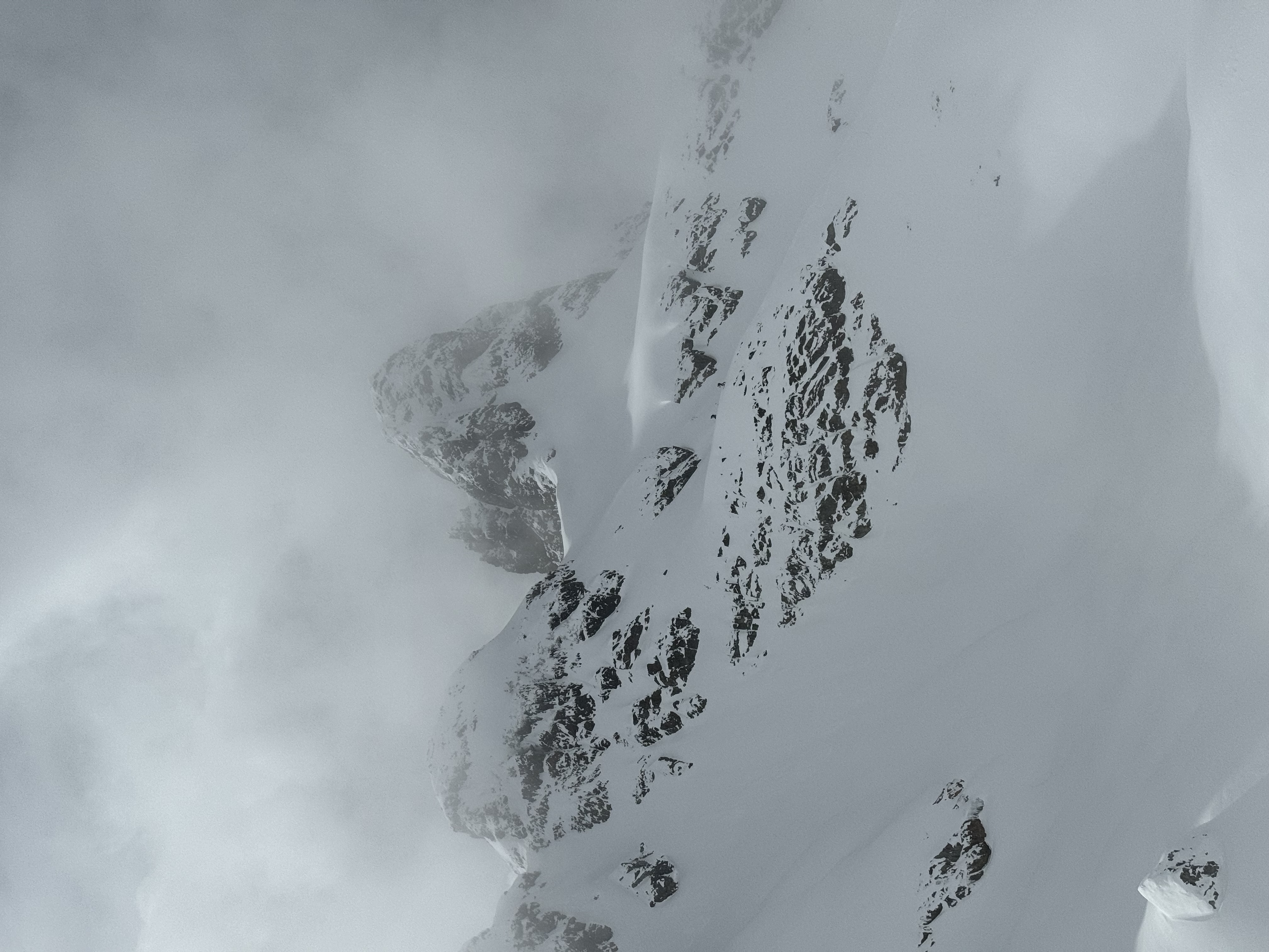Observation photo 5