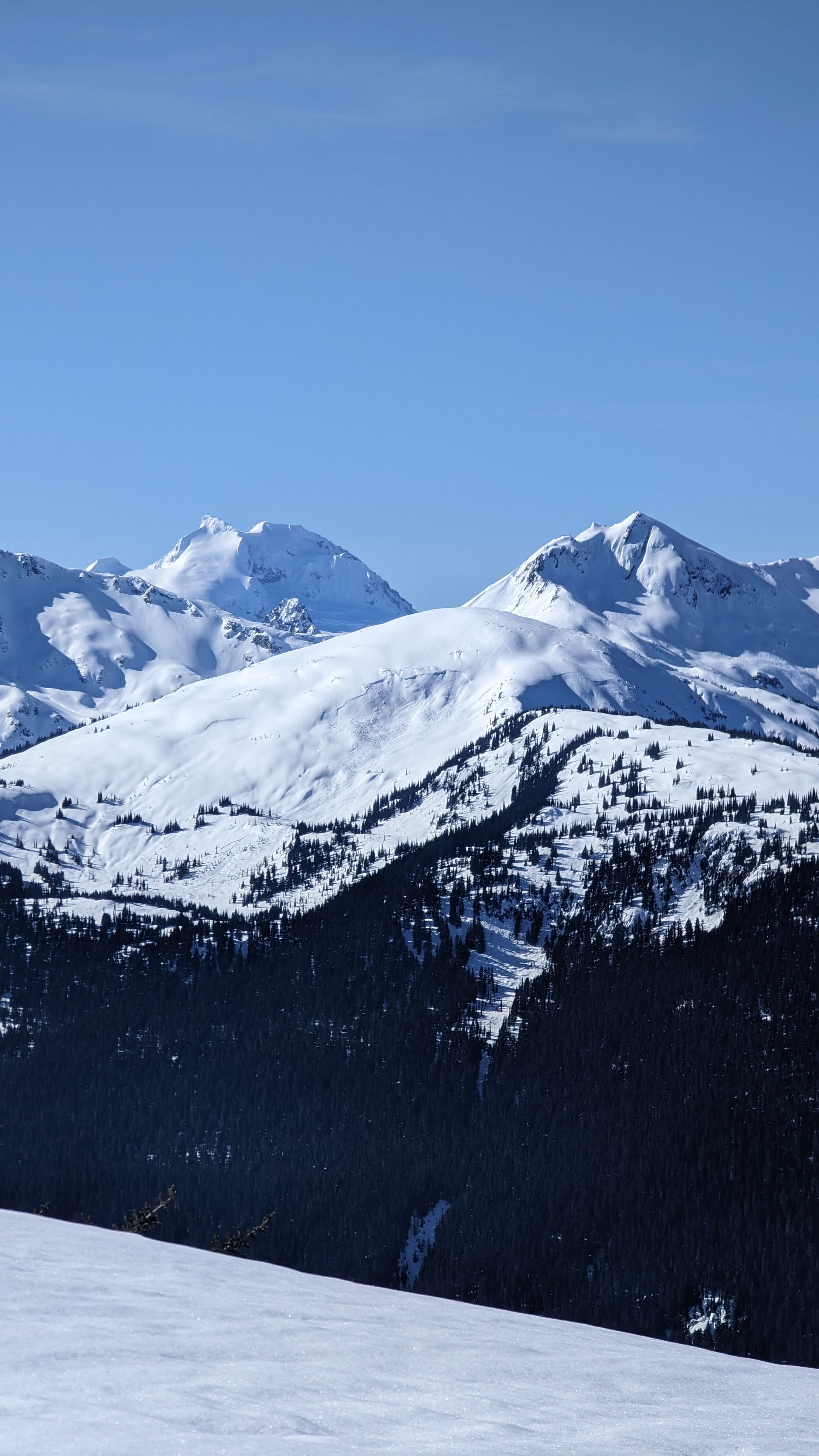 Avalanche Armageddon image