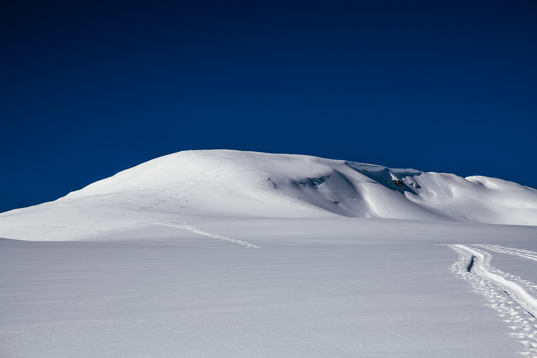 Mt Rhondda (Wapta area)  image