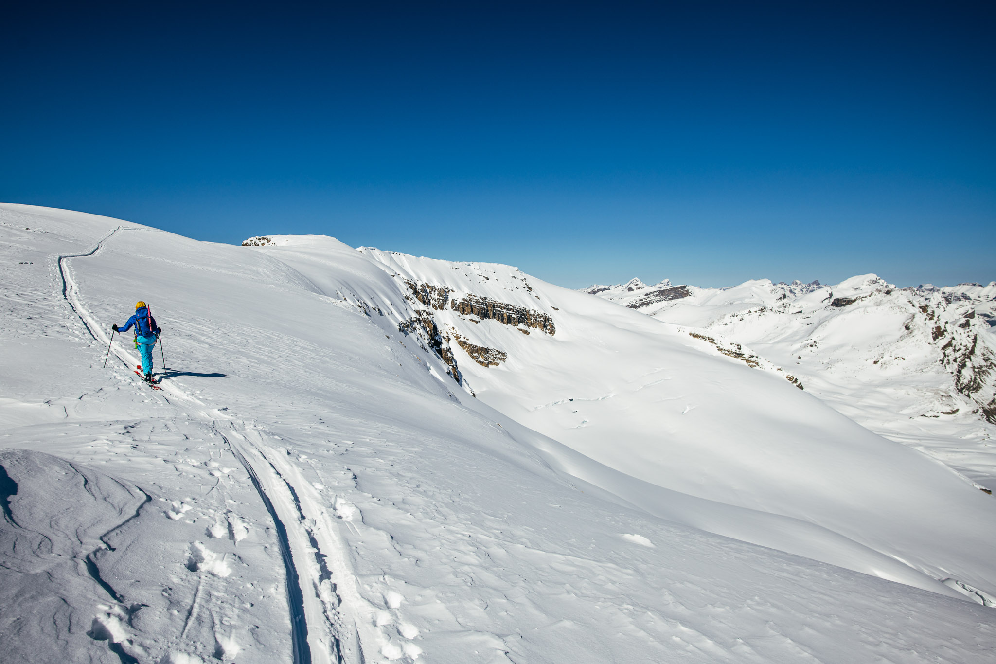 Mt Rhondda (Wapta area)  image