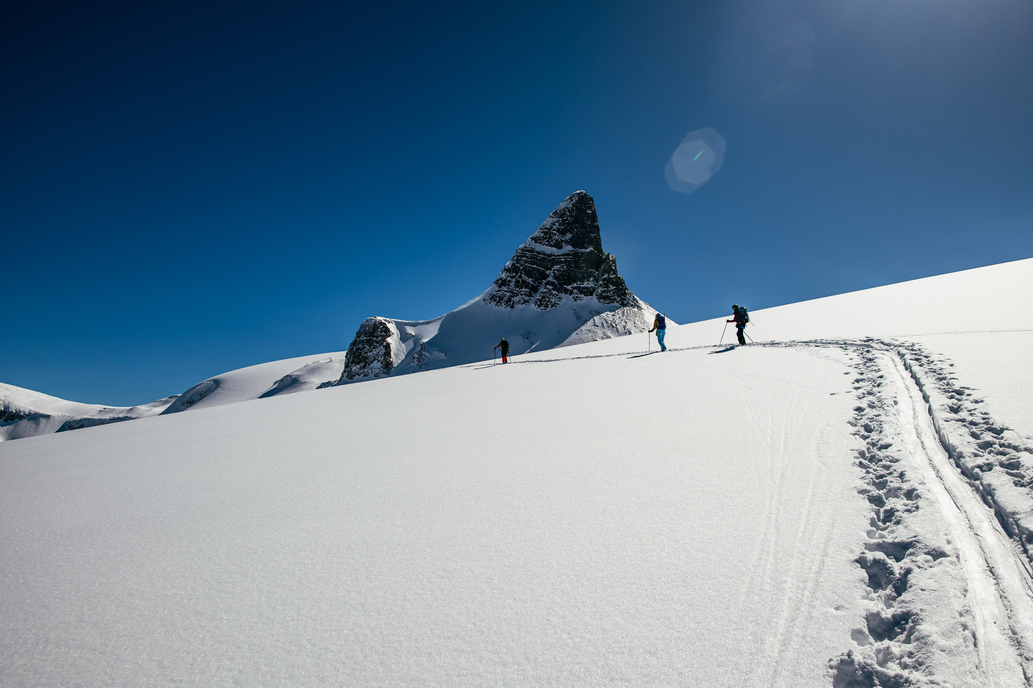 Mt Rhondda (Wapta area)  image