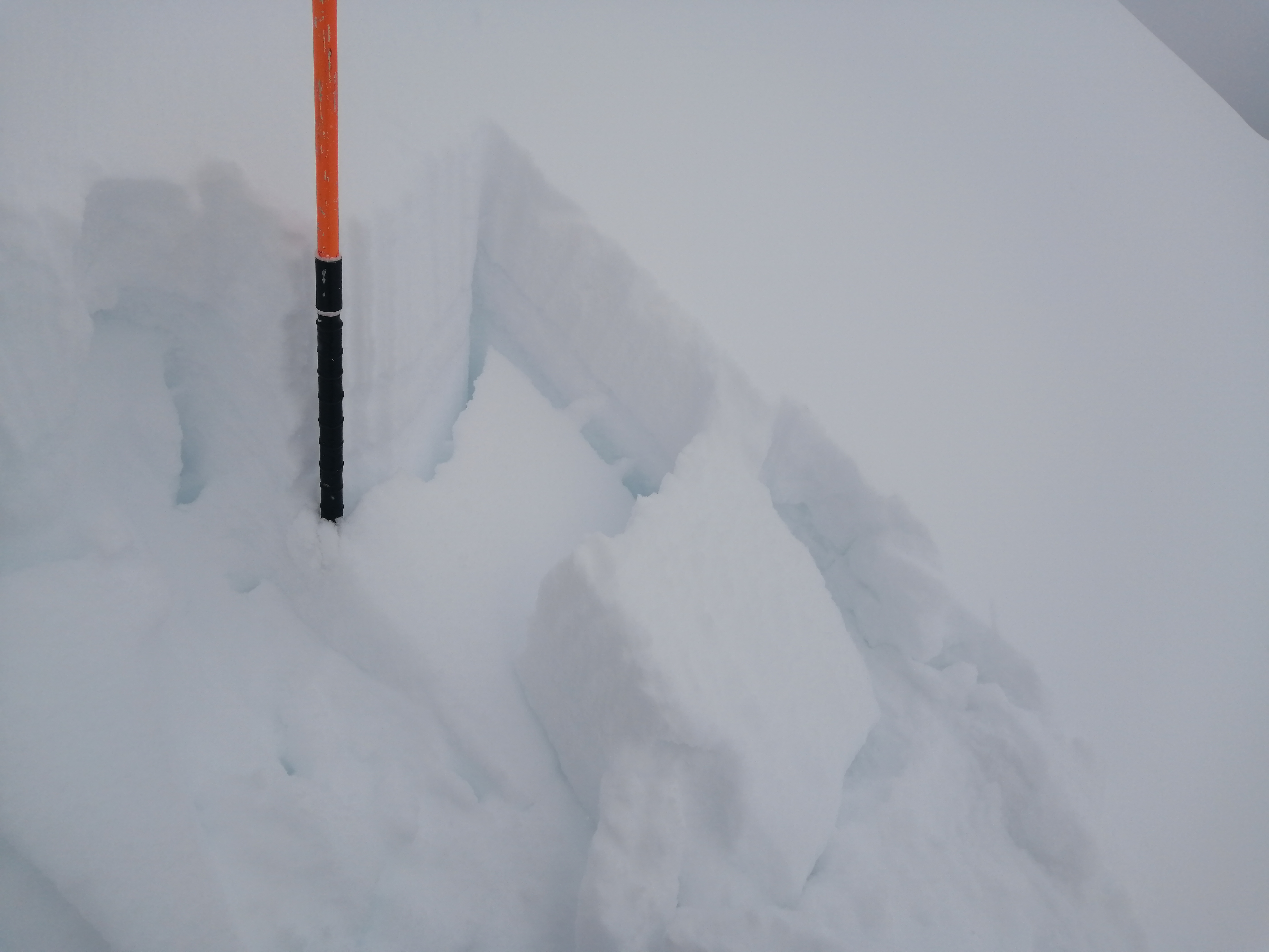 Flower Couloir image