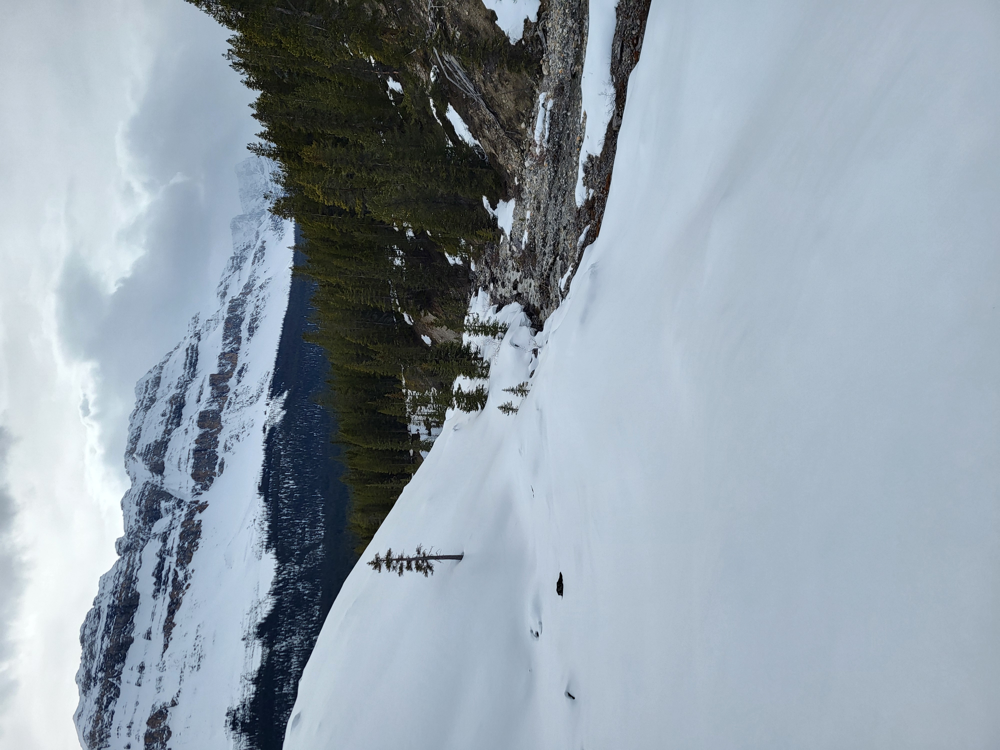 Molar Glacier image