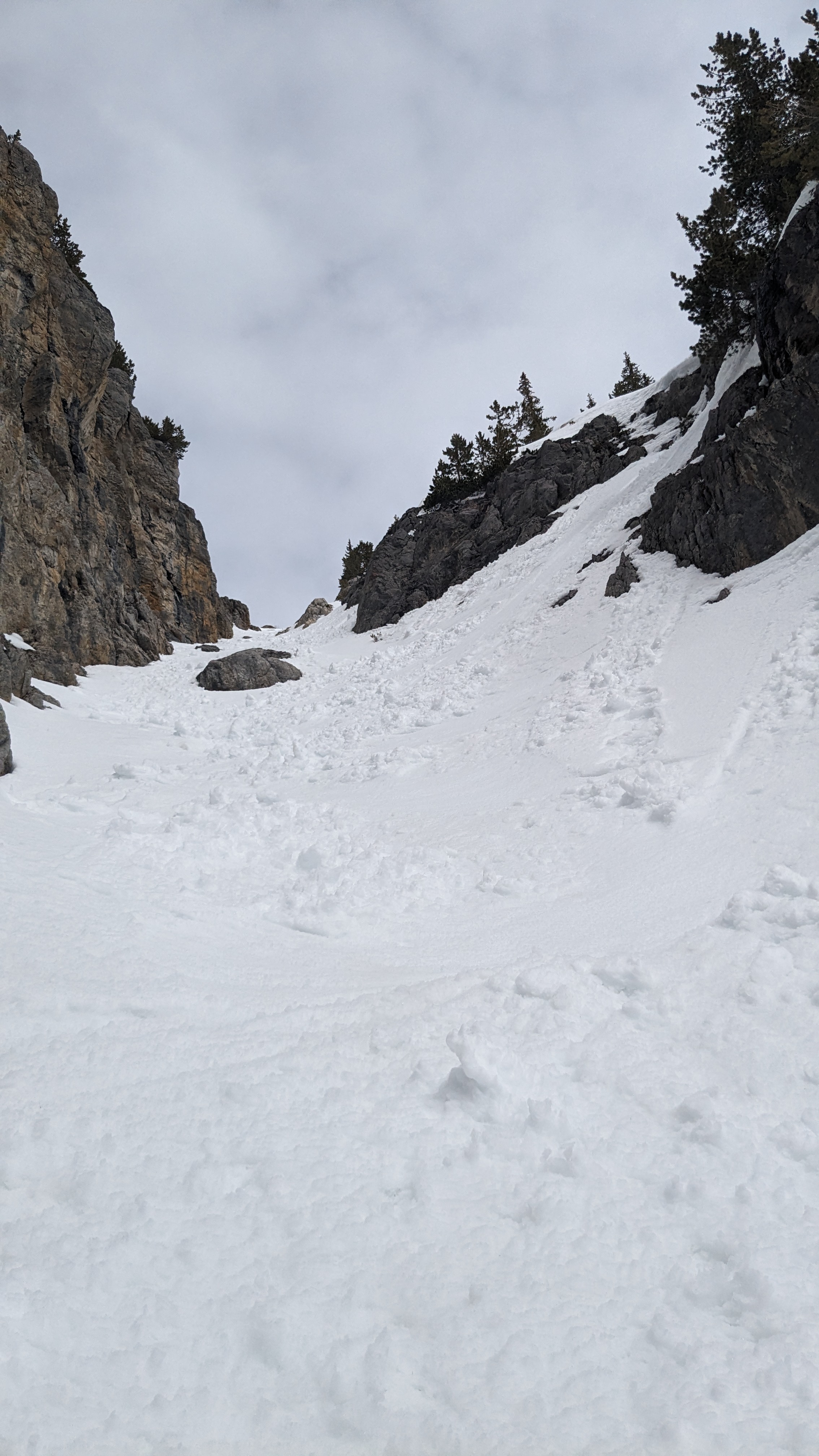 Noseeum South Couloir image