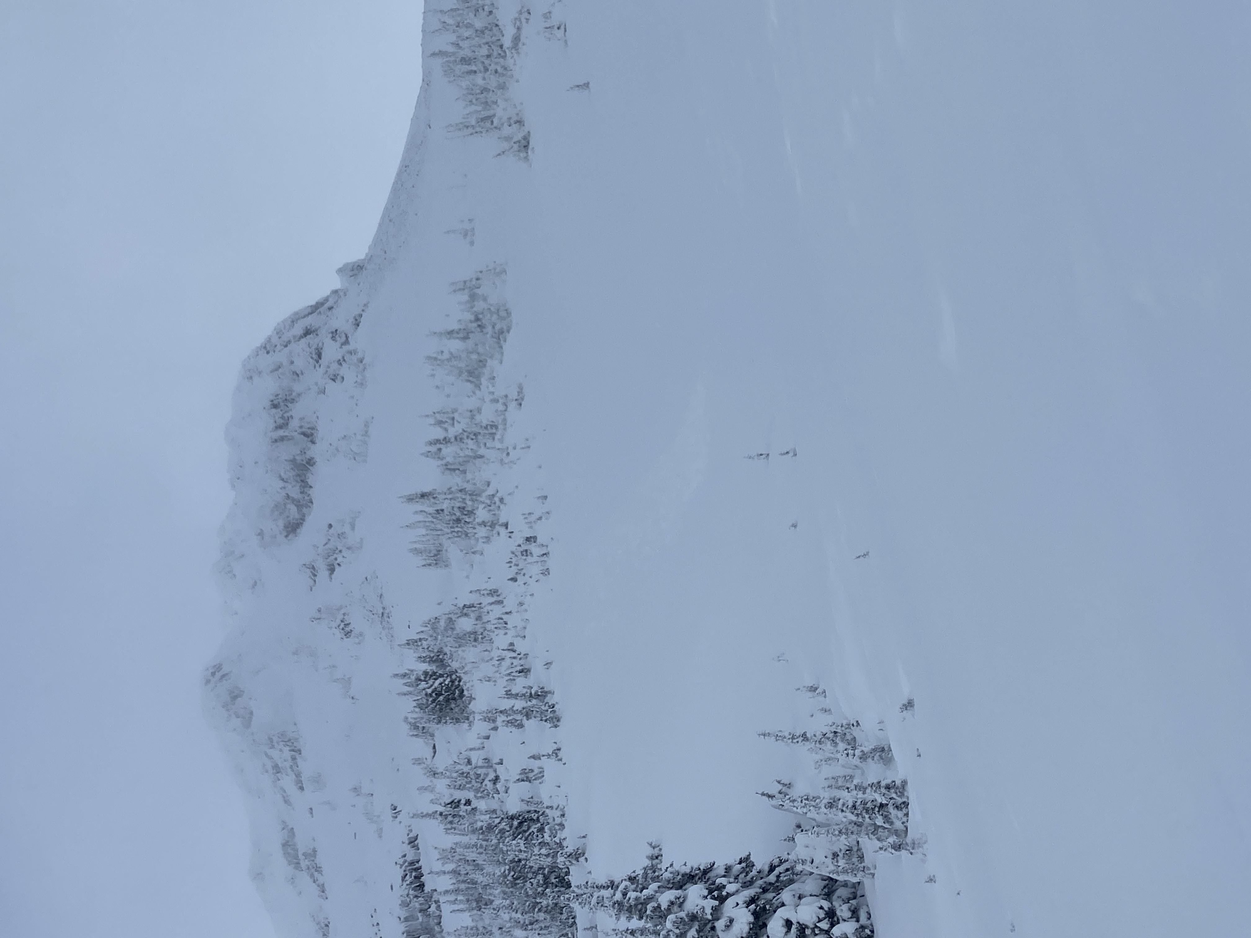 Observation photo 1