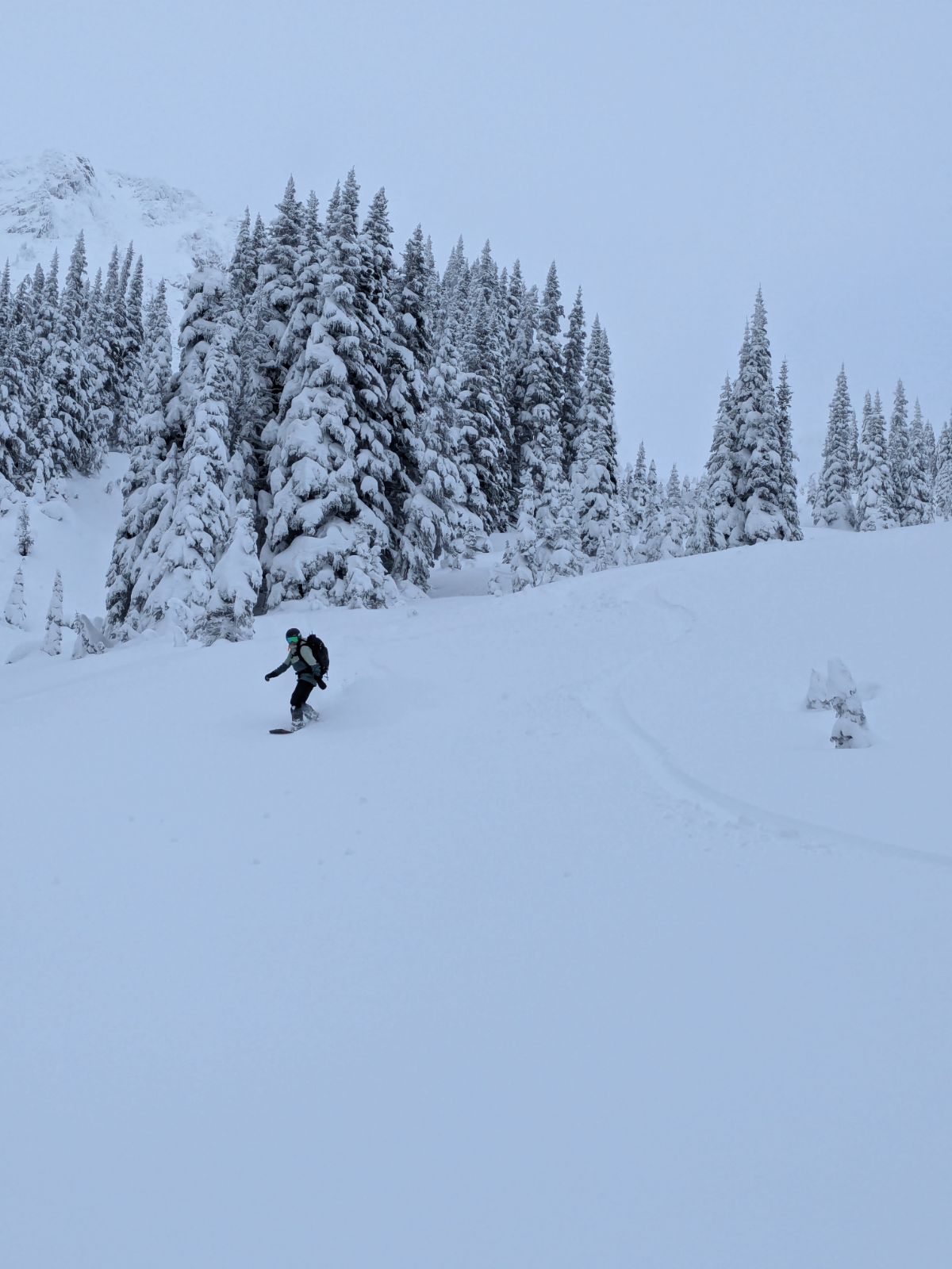 Observation photo 3