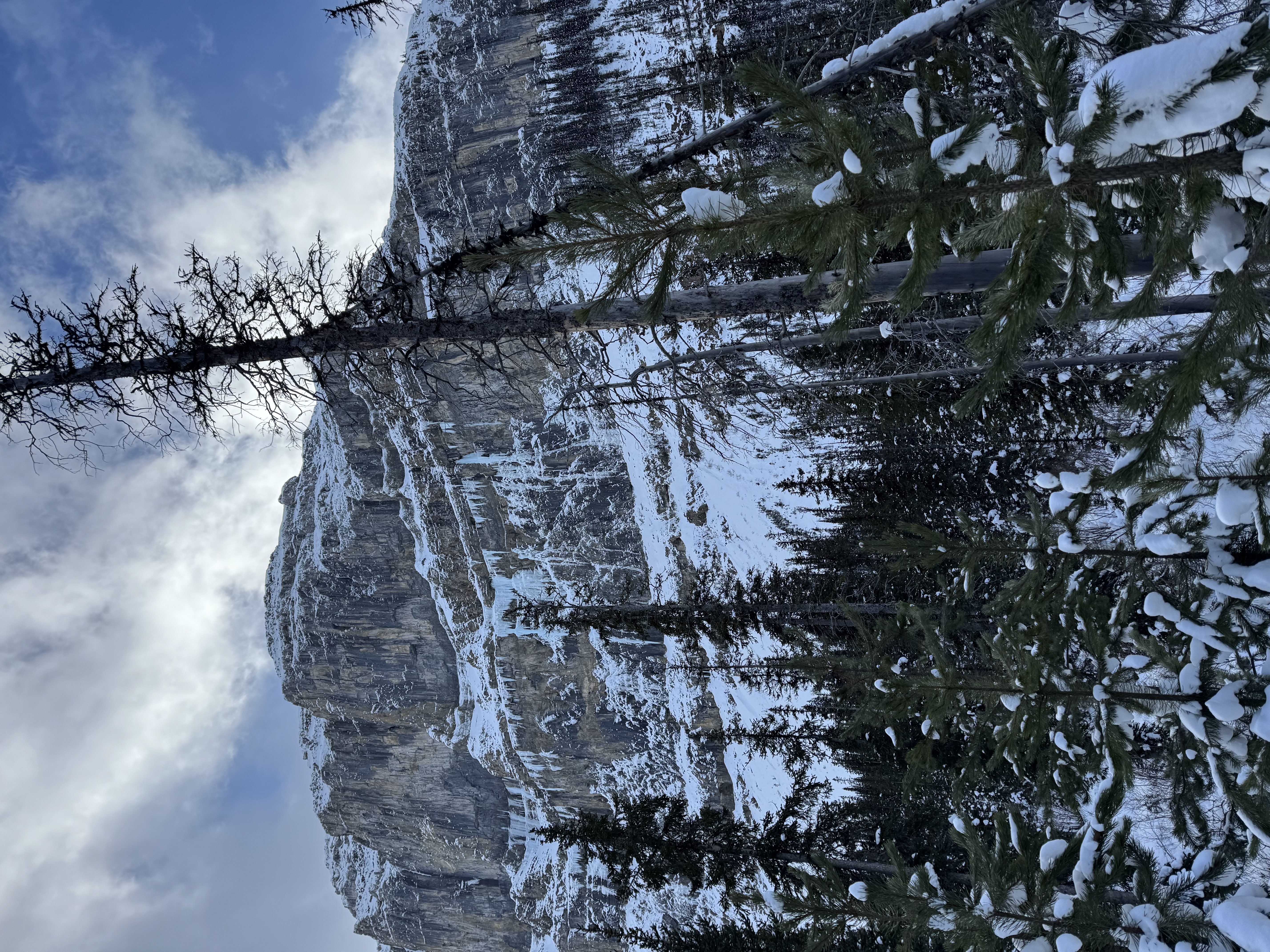 Stanley glacier valley image