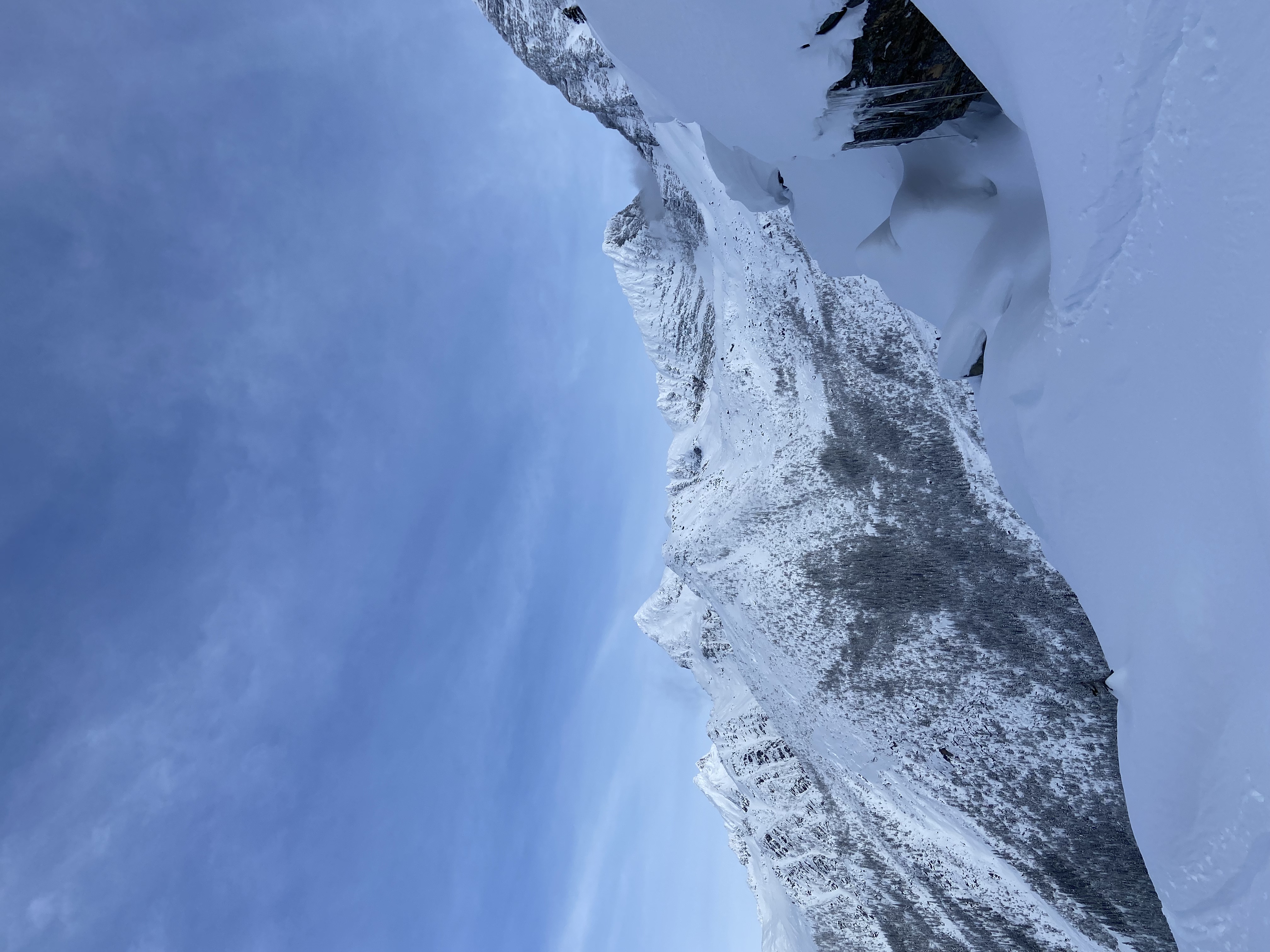 Observation photo