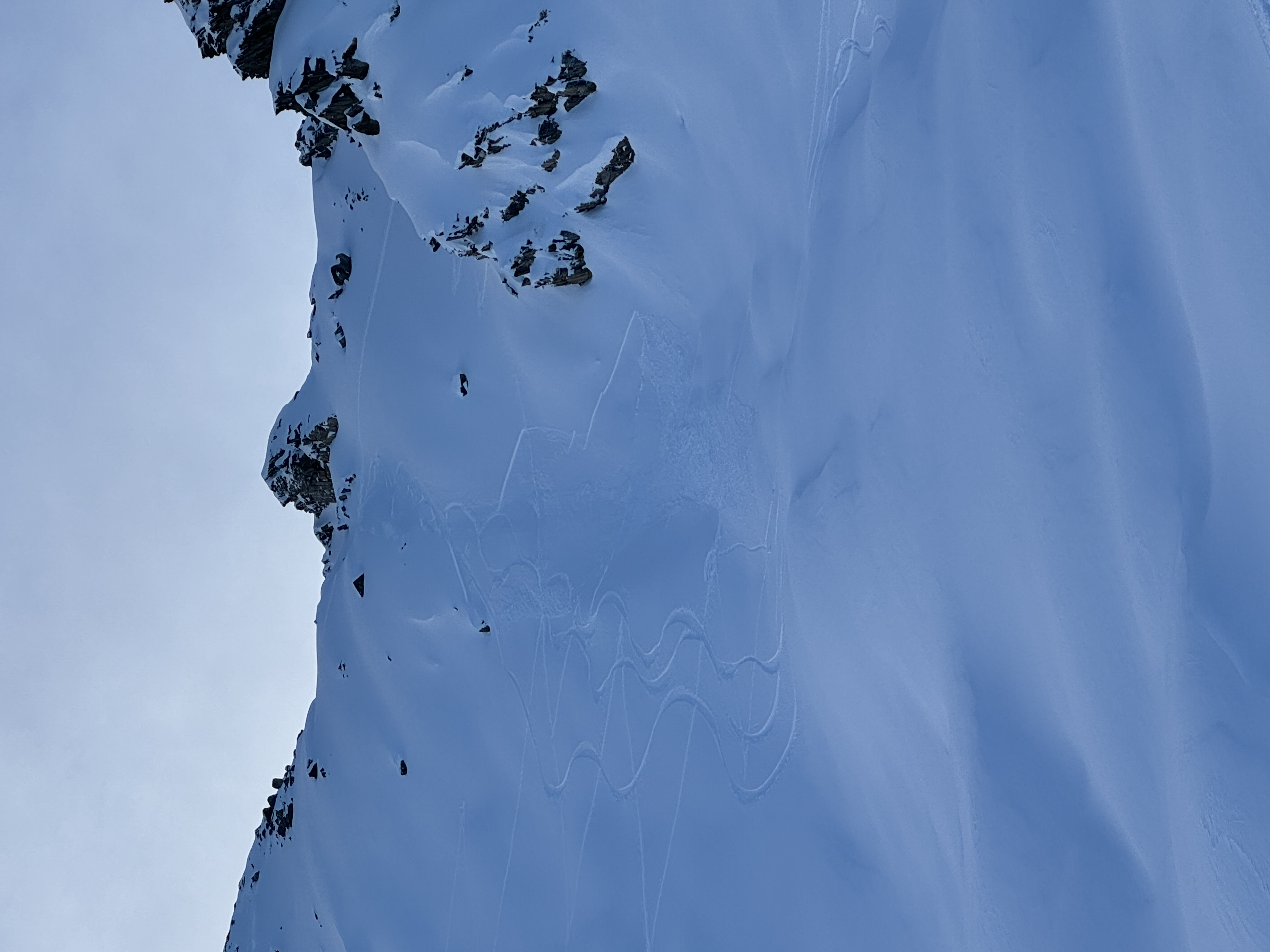 Observation photo