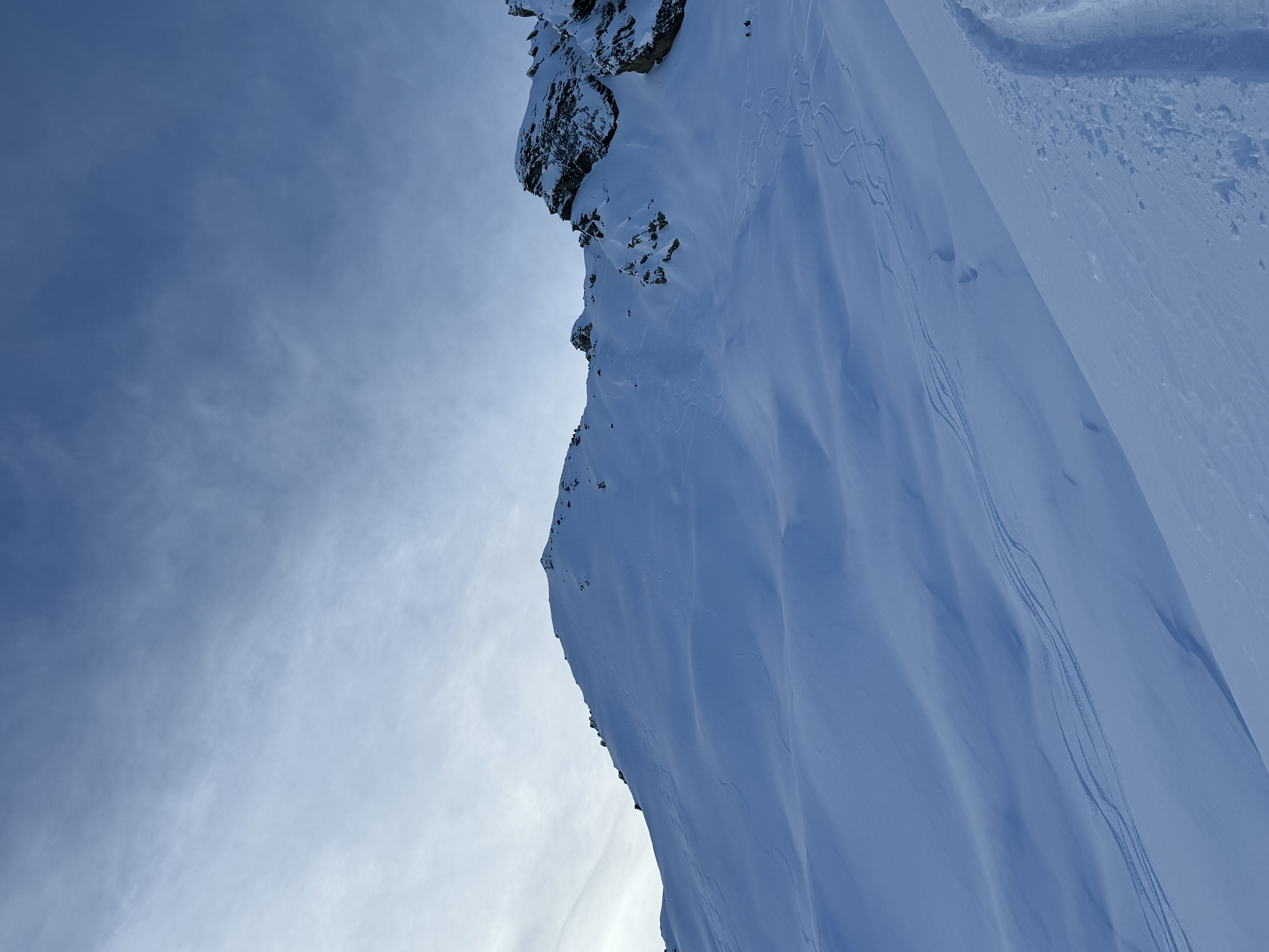 Observation photo
