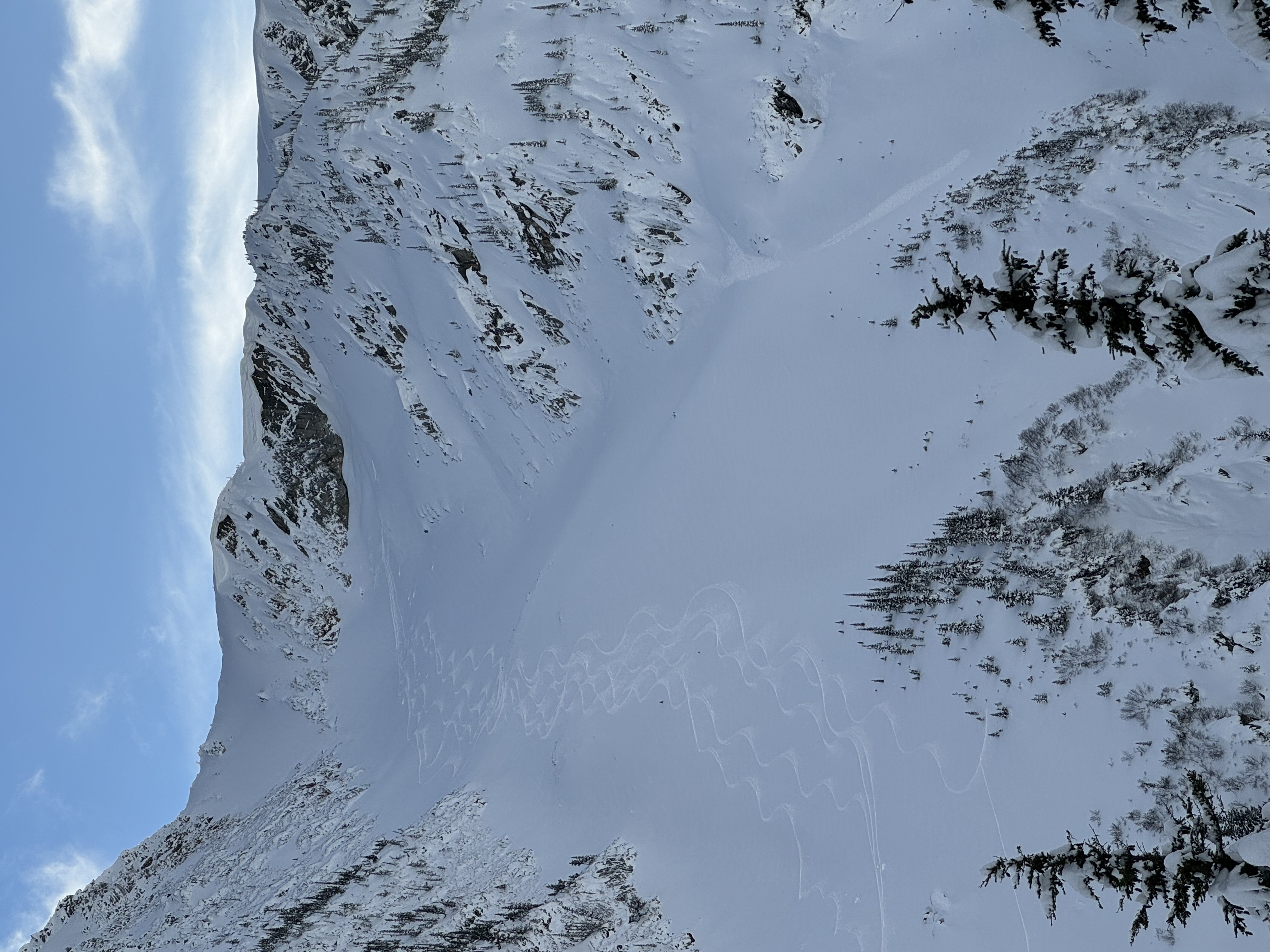 Observation photo
