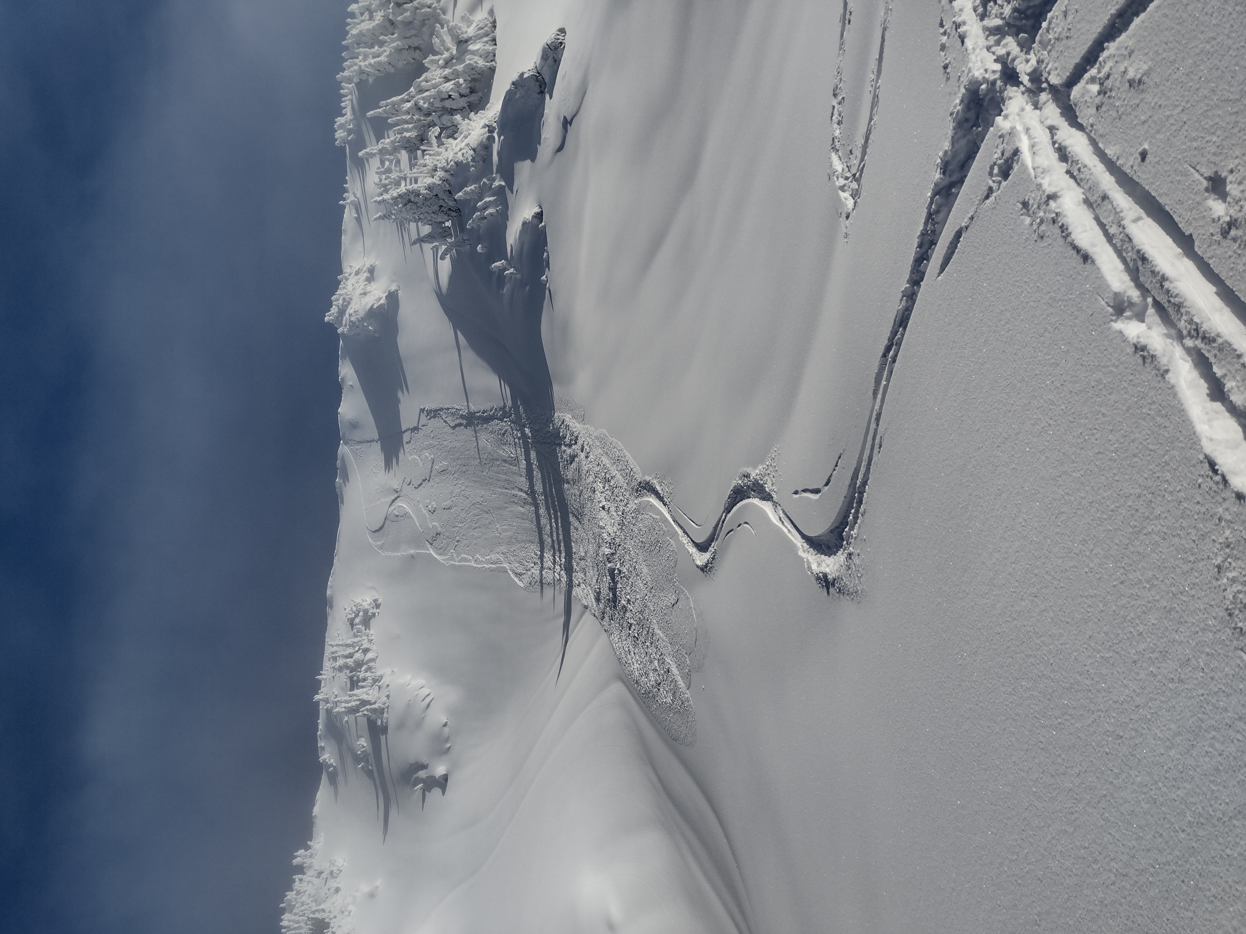 Observation photo