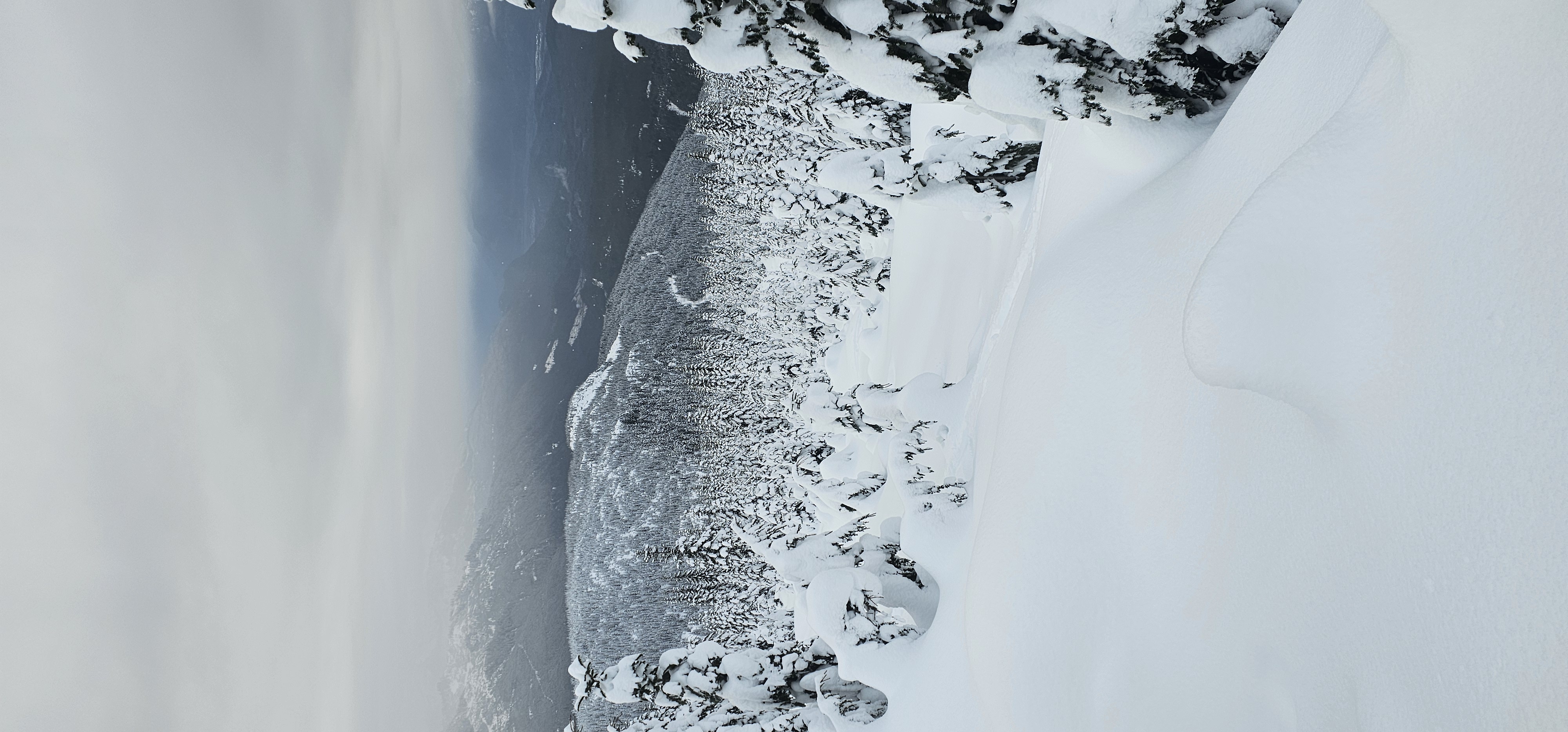 Observation photo