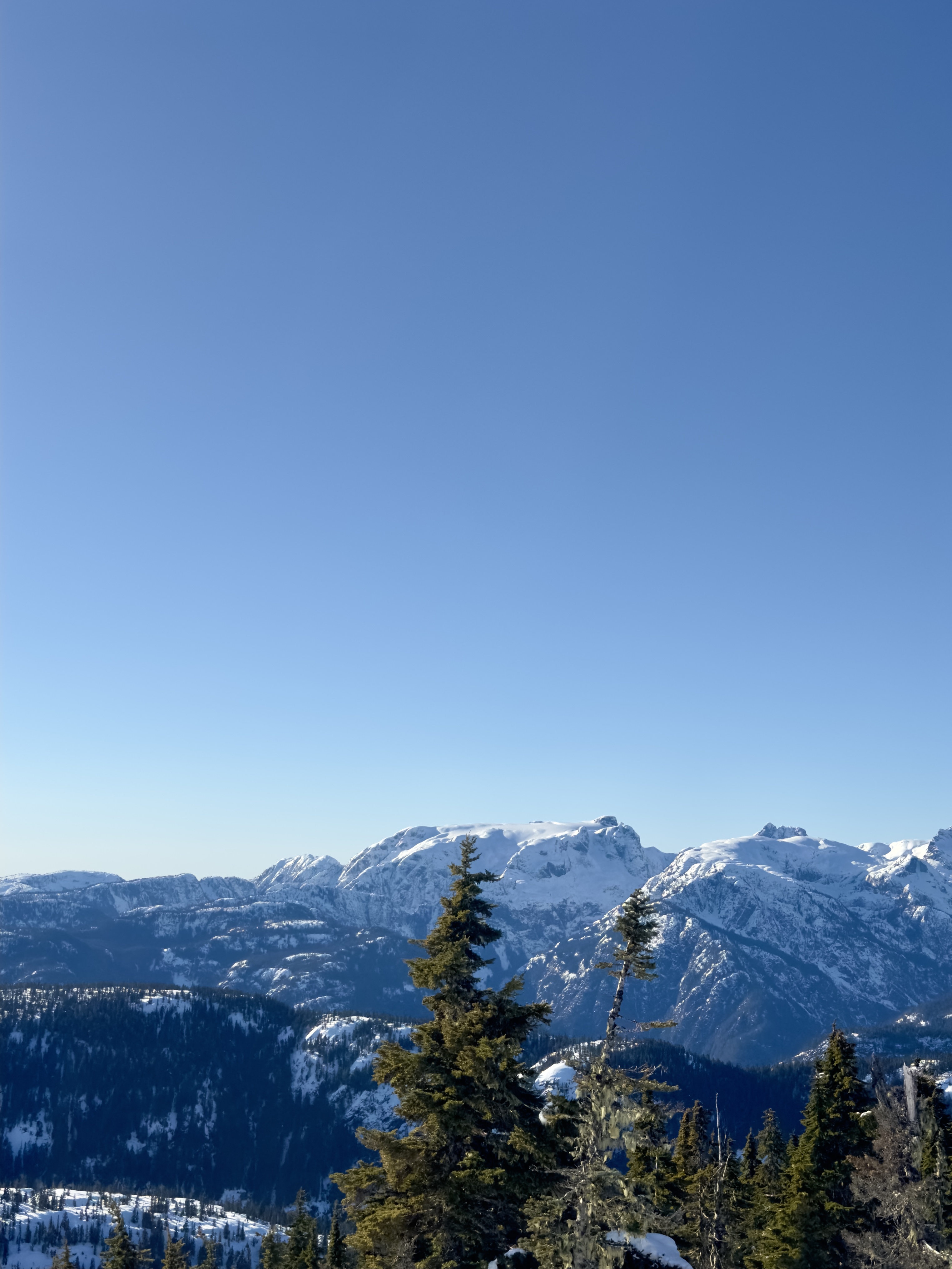 Observation photo
