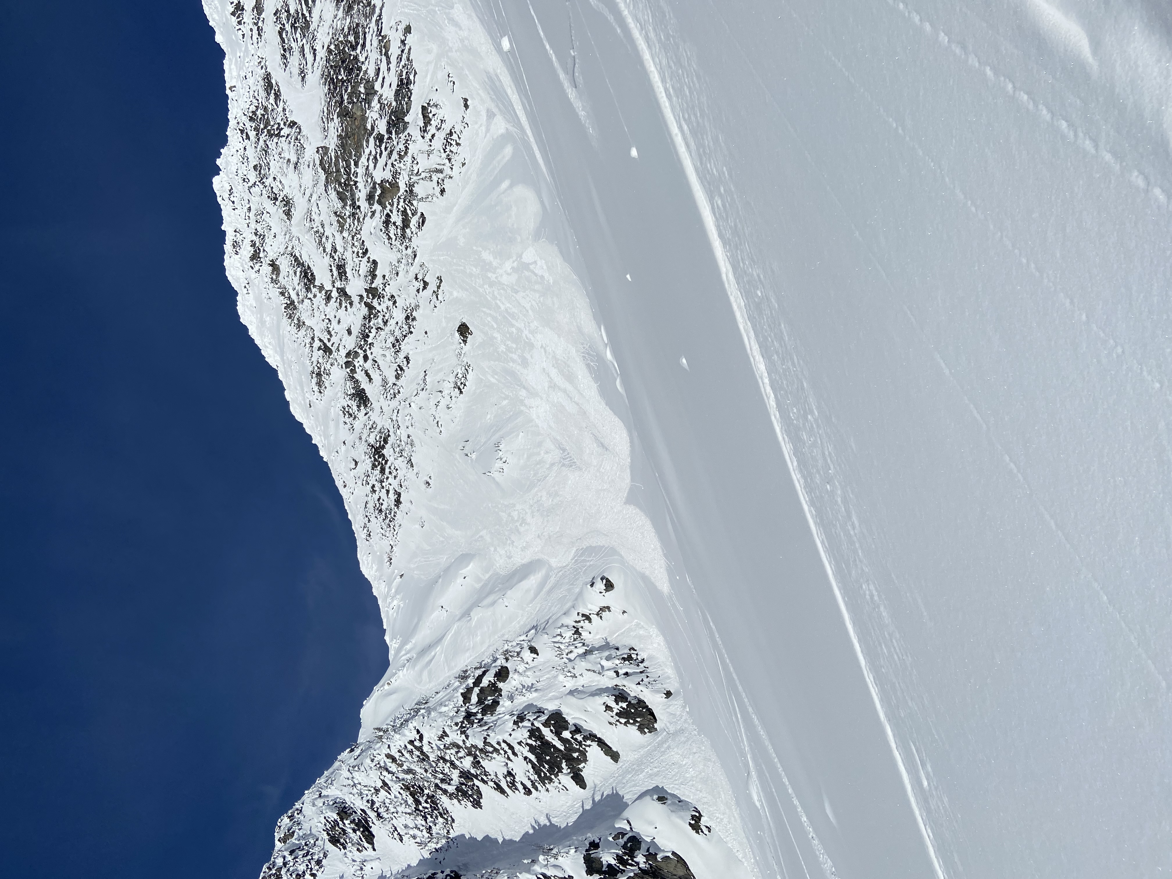 Observation photo